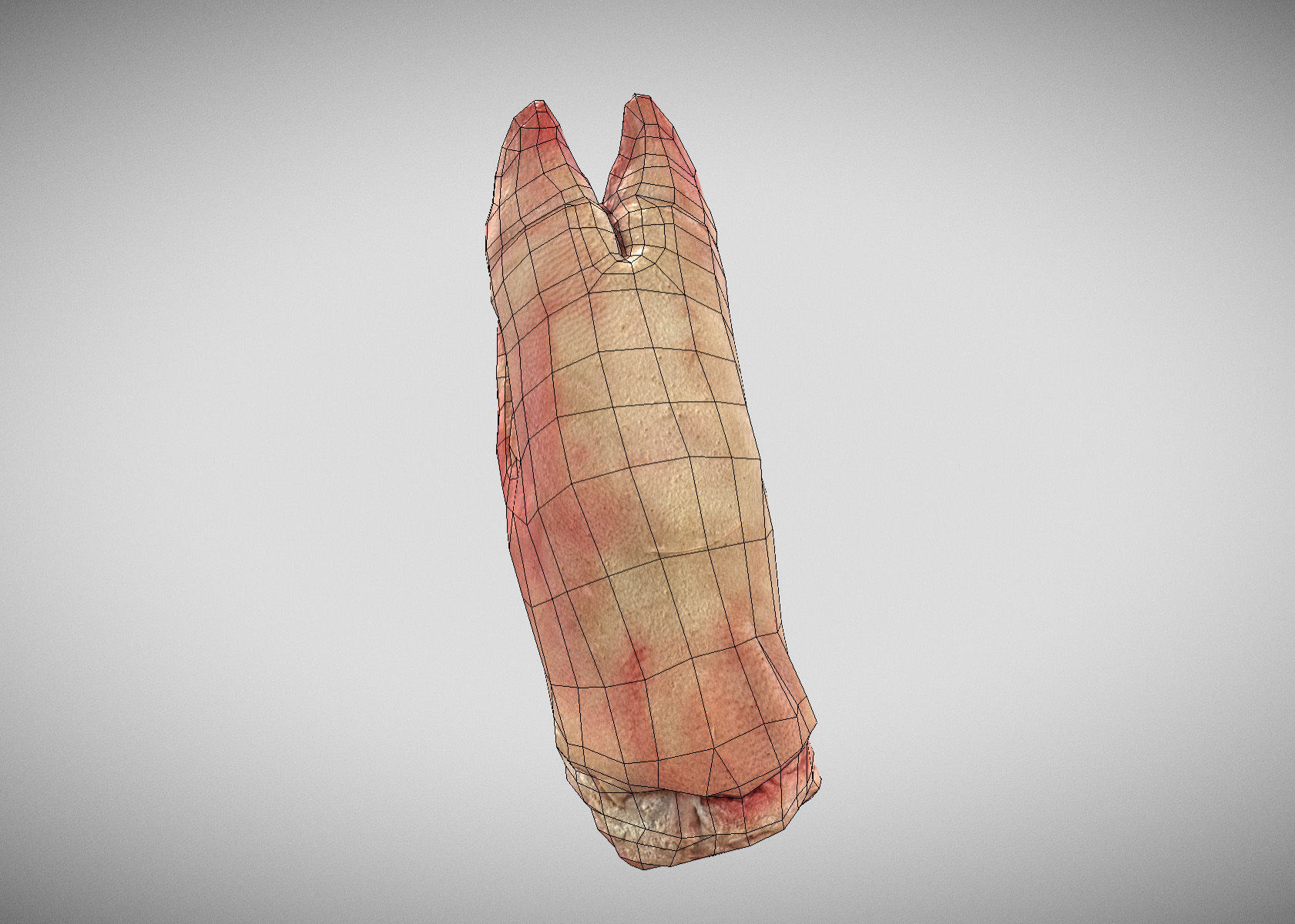 Raw Pigs leg 3D scan Low-poly 3D model_26