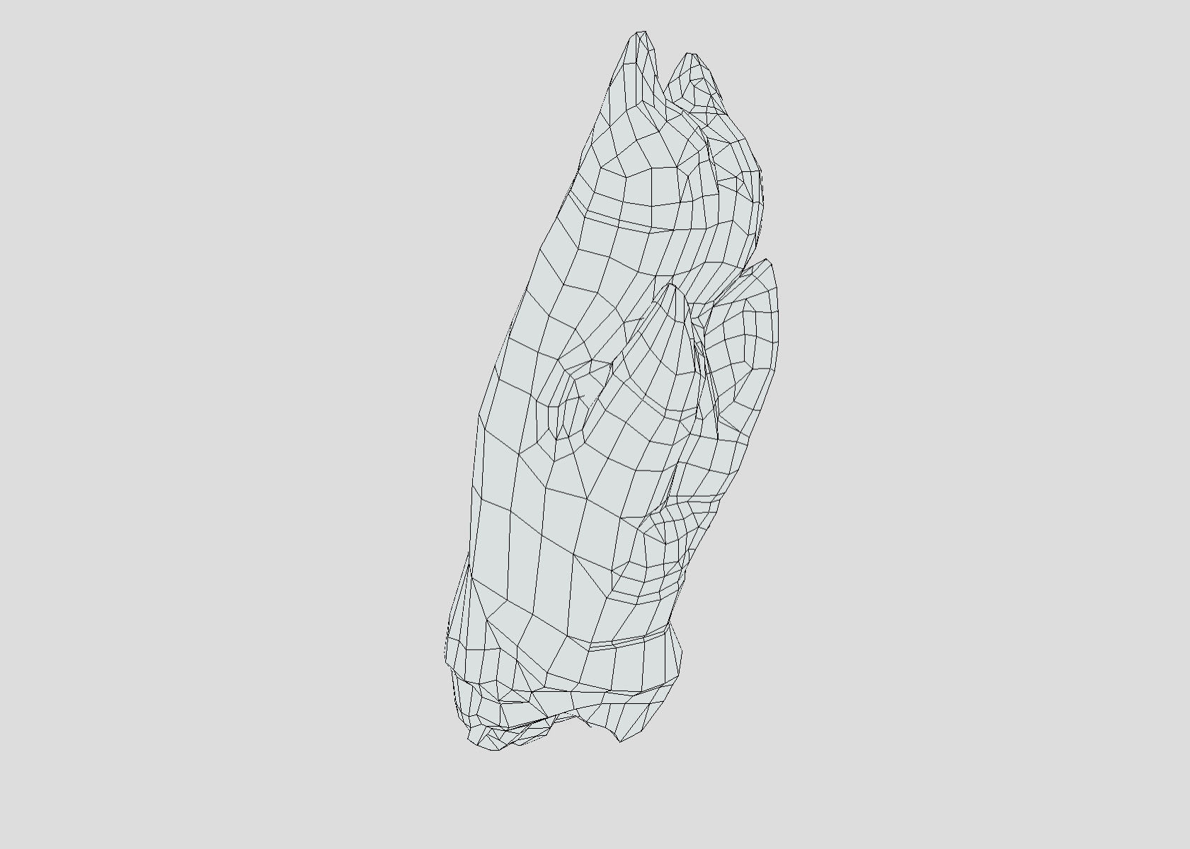 Raw Pigs leg 3D scan Low-poly 3D model_42