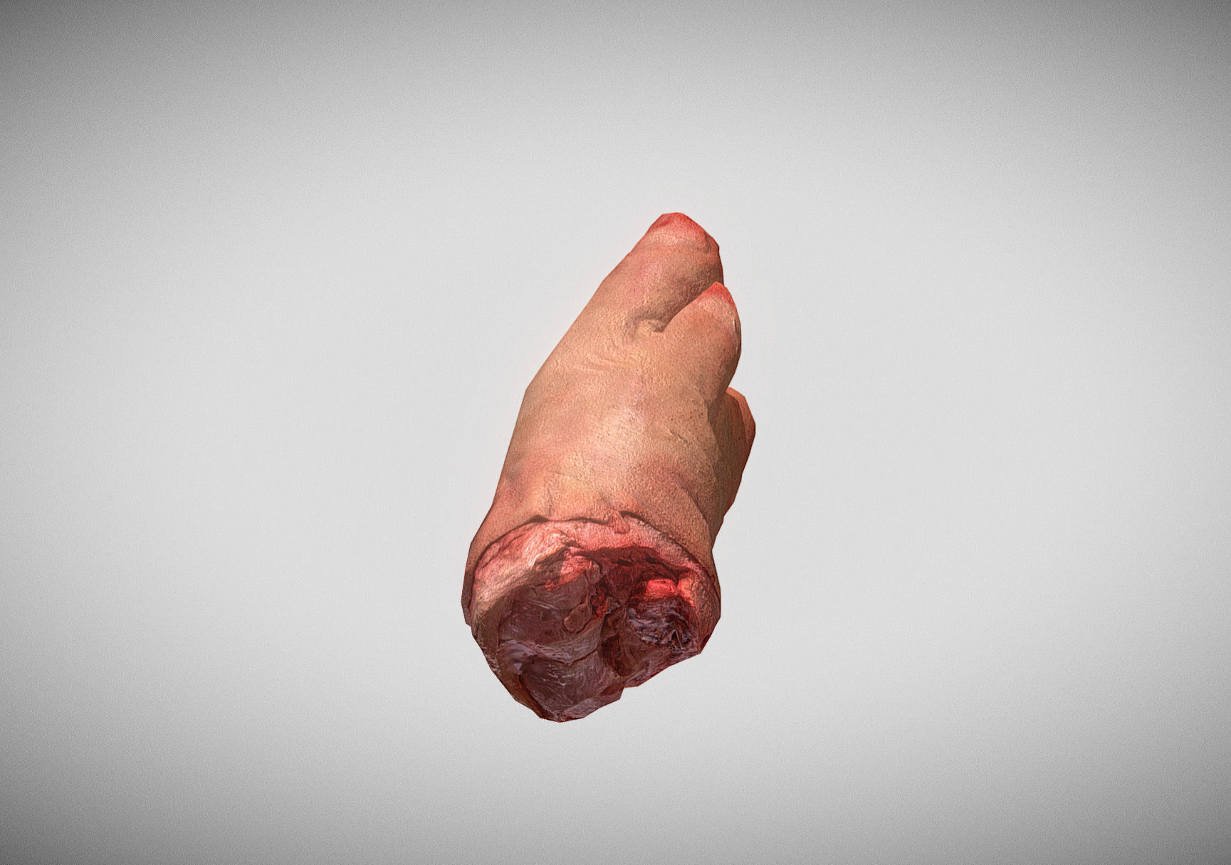 Raw Pigs leg 3D scan Low-poly 3D model_14