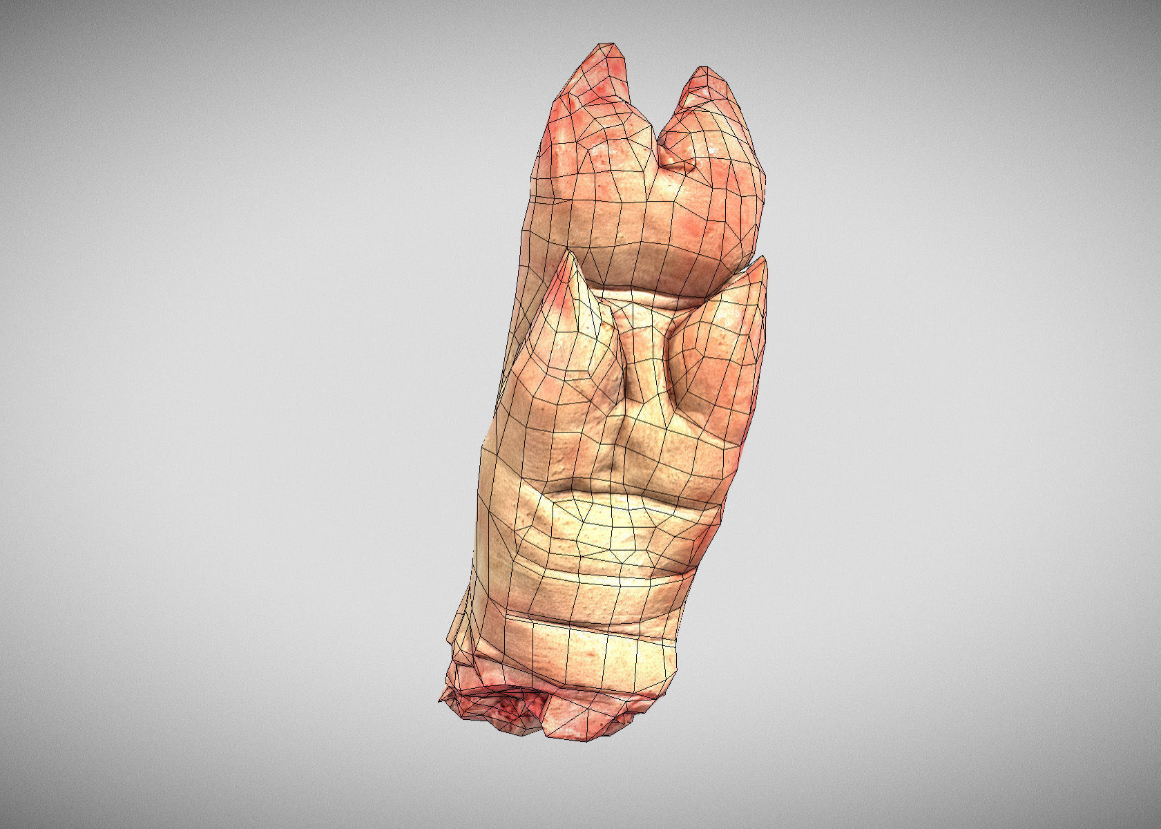 Raw Pigs leg 3D scan Low-poly 3D model_22