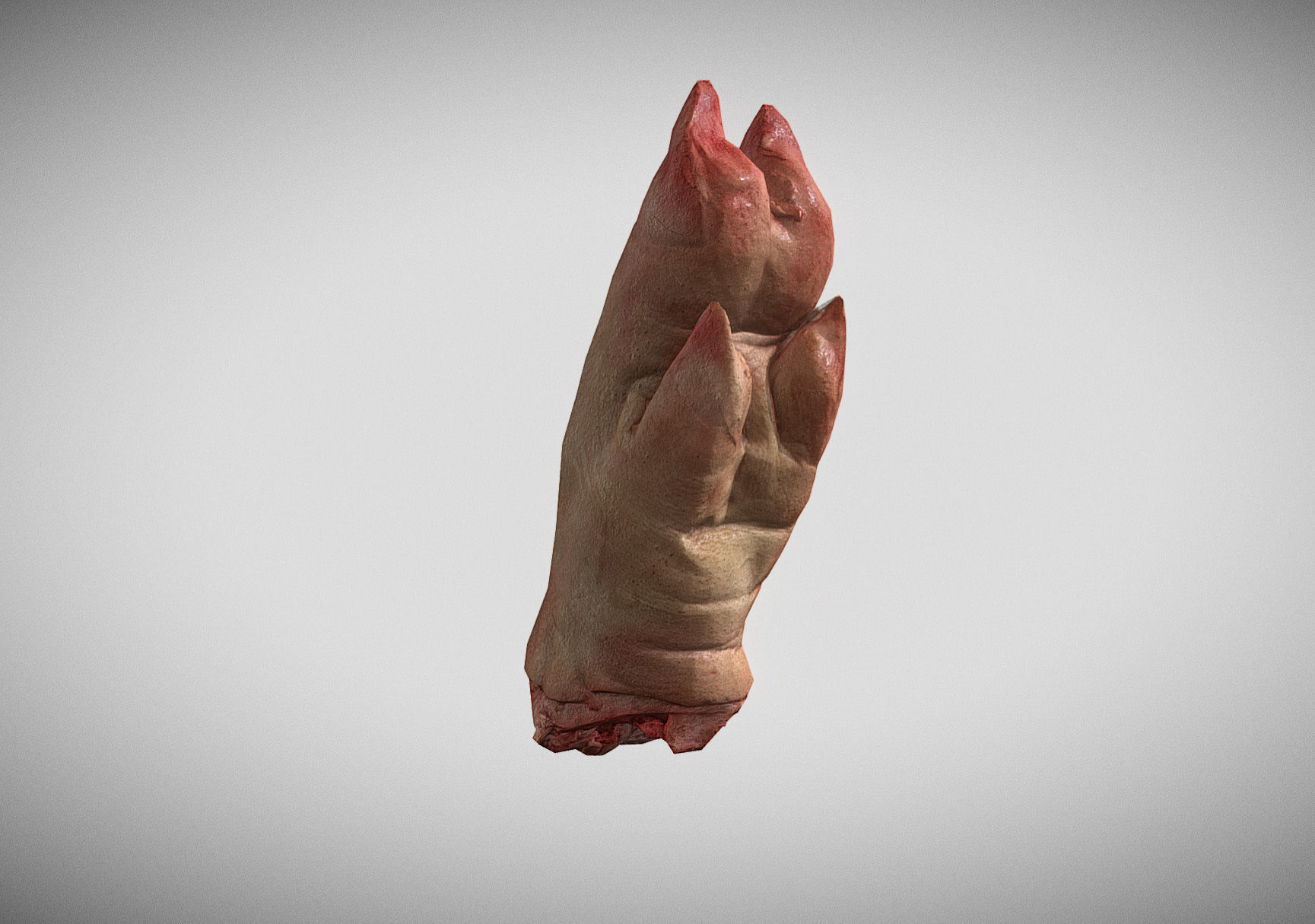 Raw Pigs leg 3D scan Low-poly 3D model_32