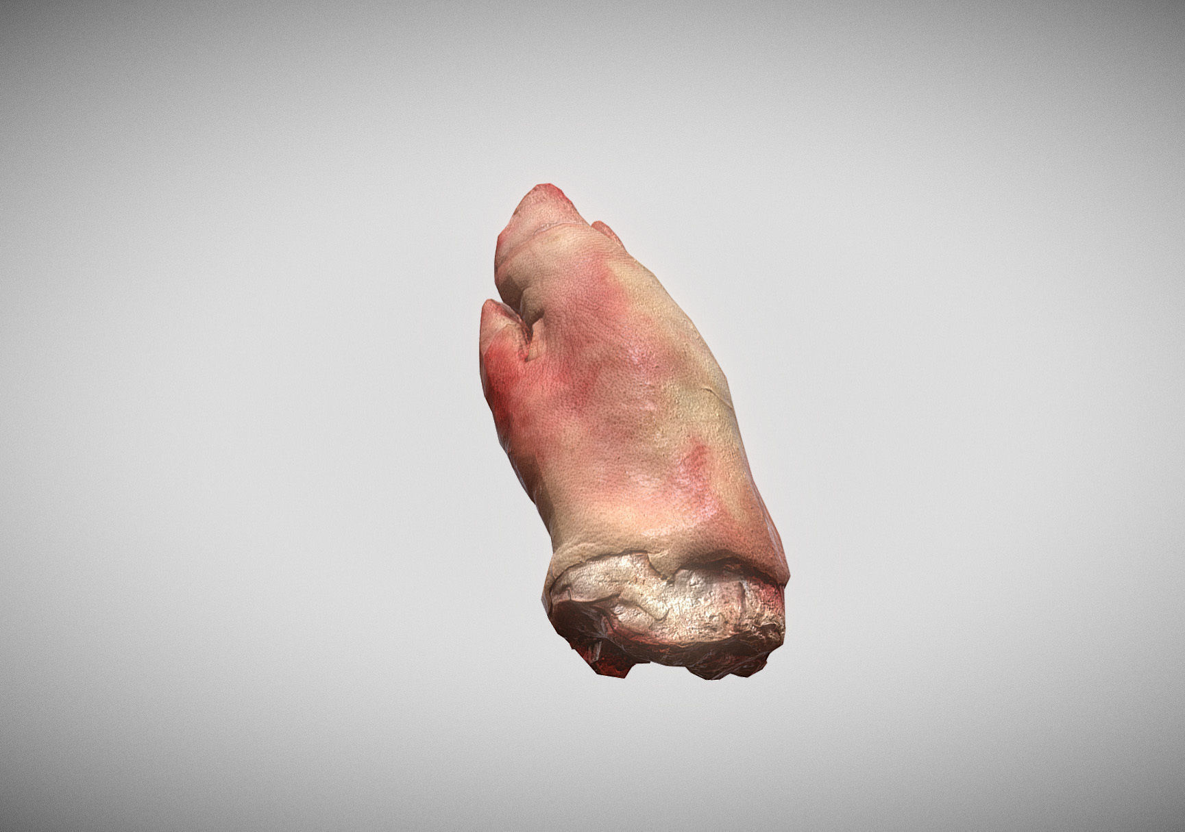 Raw Pigs leg 3D scan Low-poly 3D model_24