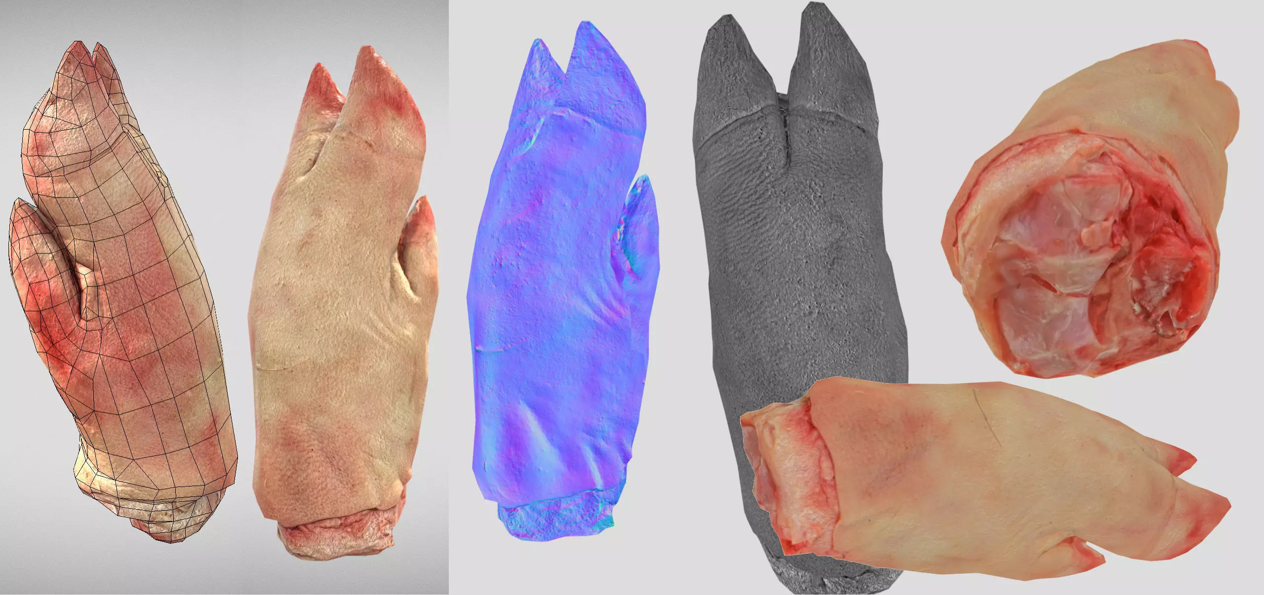 Raw Pigs leg 3D scan Low-poly 3D model_0