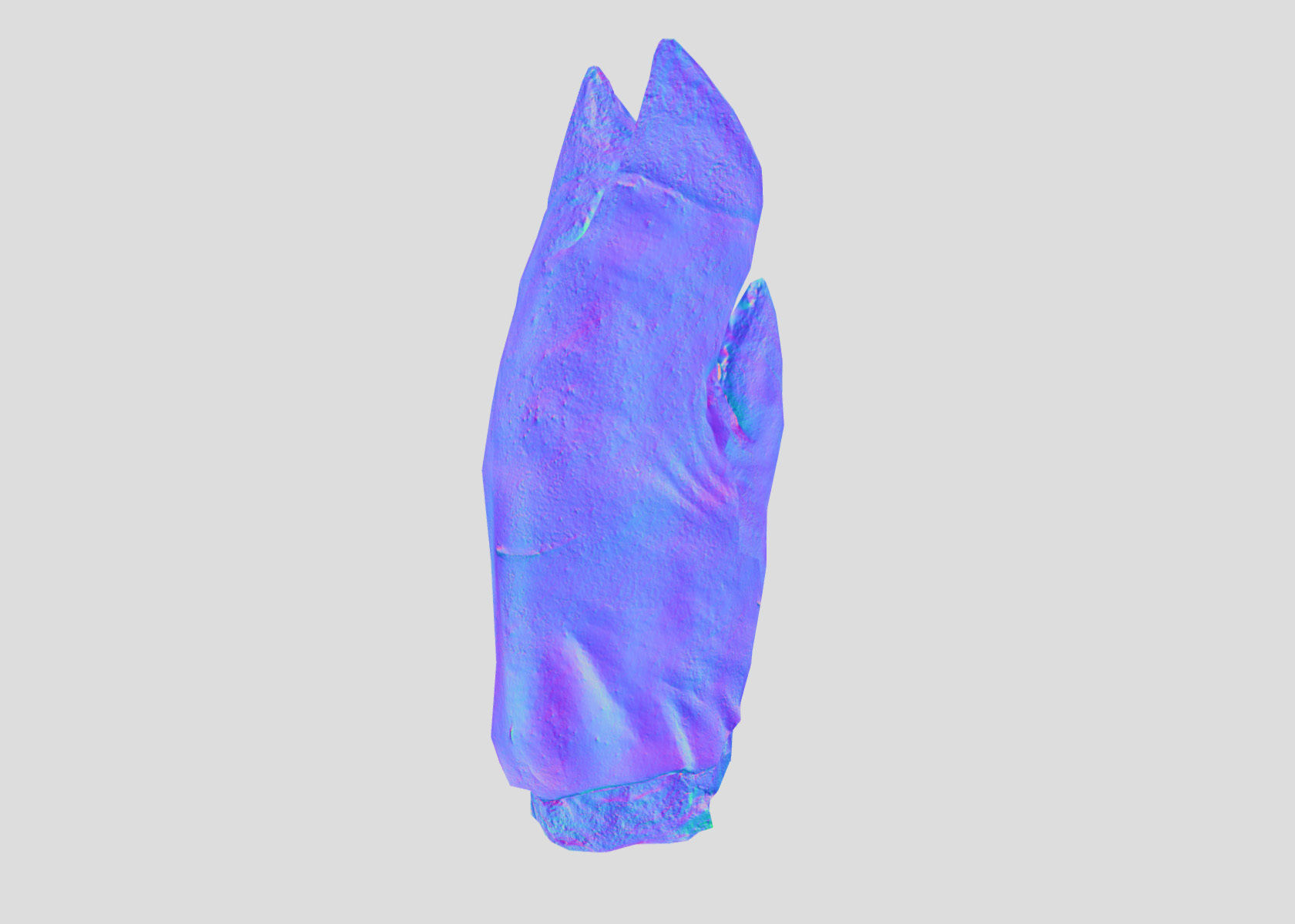 Raw Pigs leg 3D scan Low-poly 3D model_51
