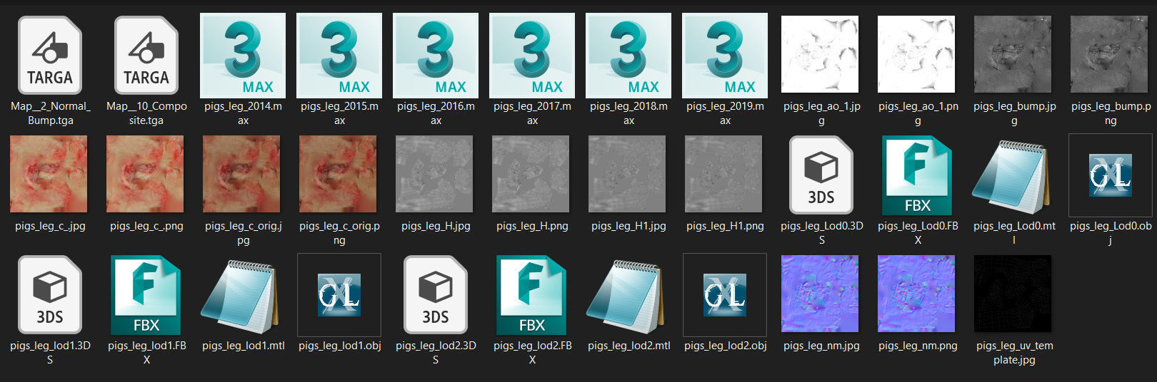 Raw Pigs leg 3D scan Low-poly 3D model_67