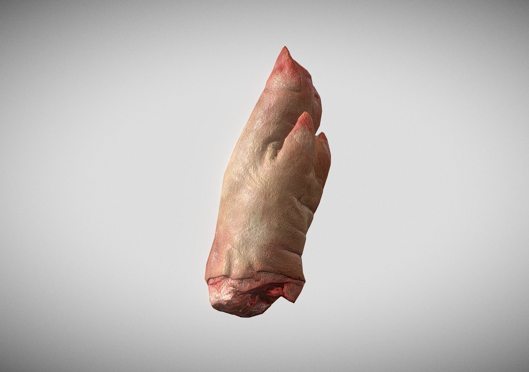 Raw Pigs leg 3D scan Low-poly 3D model_8