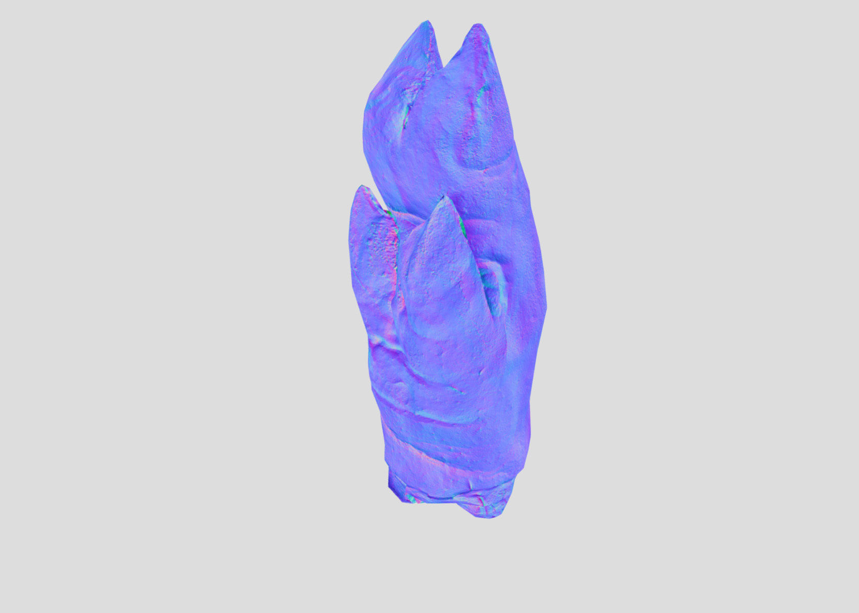 Raw Pigs leg 3D scan Low-poly 3D model_49