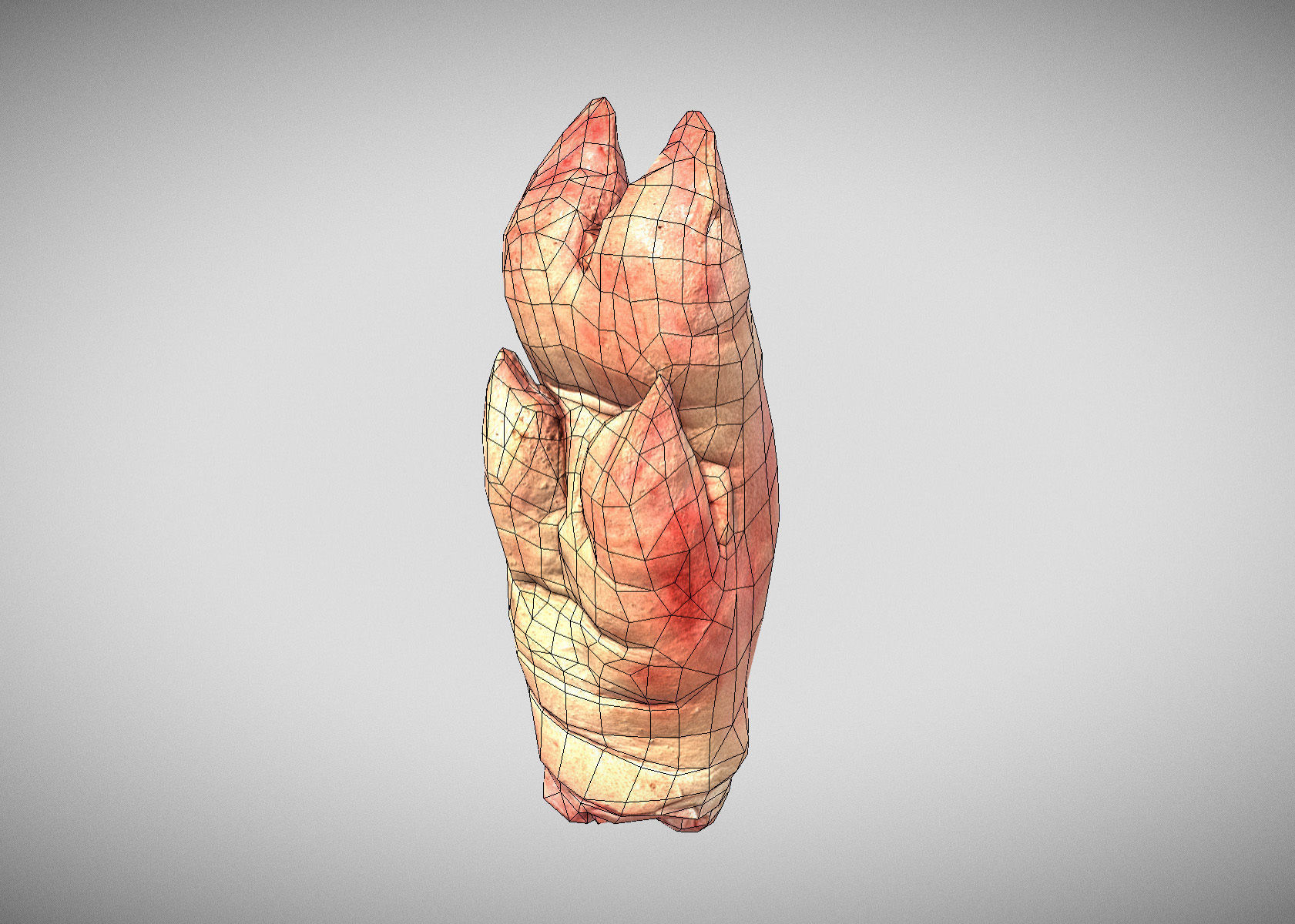 Raw Pigs leg 3D scan Low-poly 3D model_31