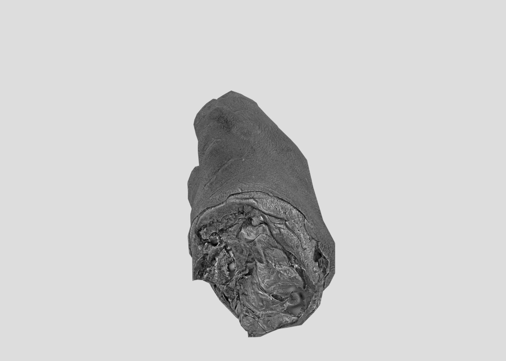 Raw Pigs leg 3D scan Low-poly 3D model_56