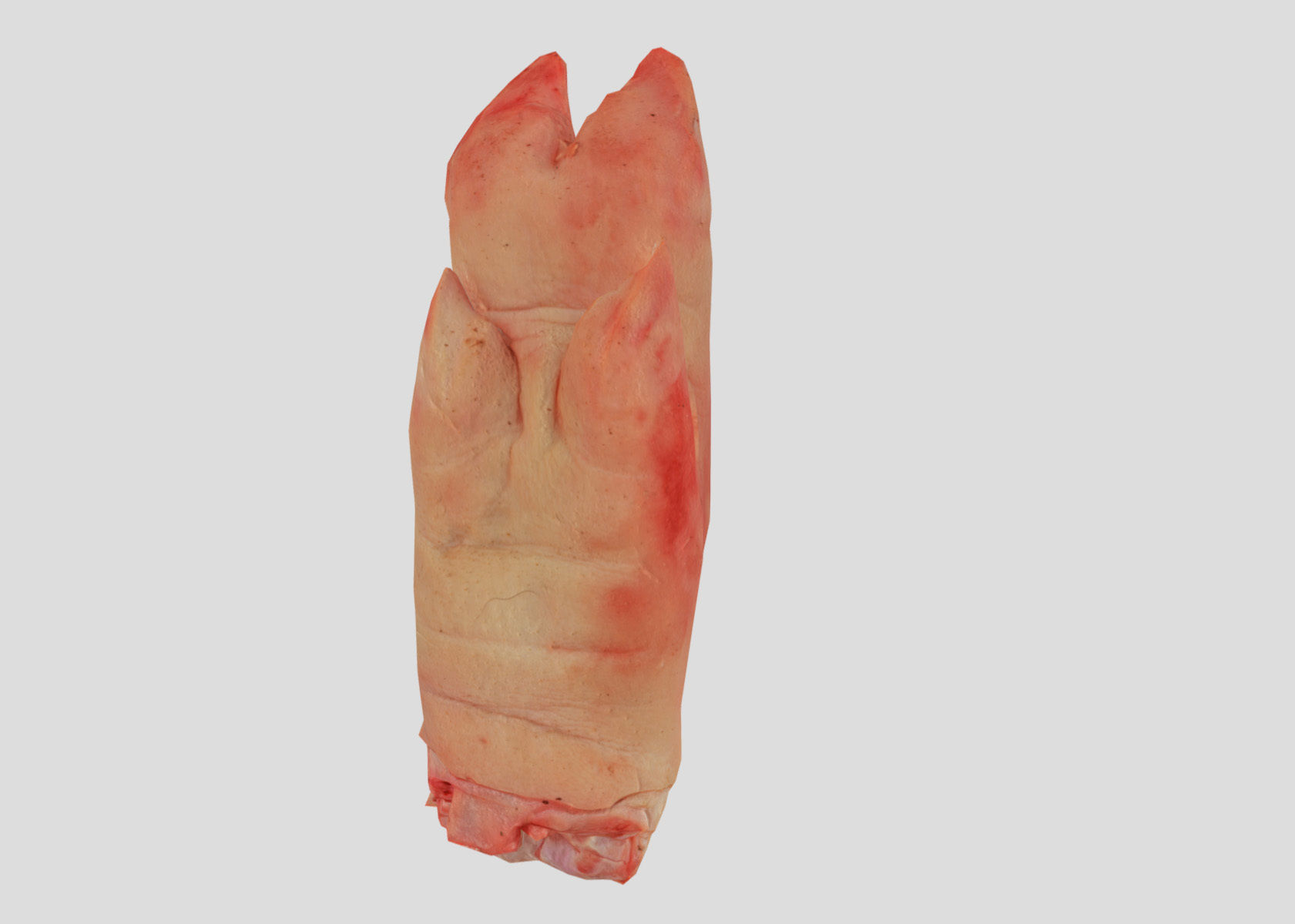 Raw Pigs leg 3D scan Low-poly 3D model_37