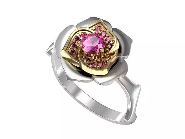 Ring rose 