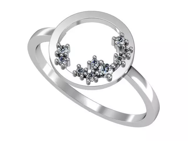 Jewelry set circle ring with diamonds in center 3D print model_0
