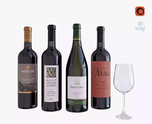 Wine bottle set 5 3D model