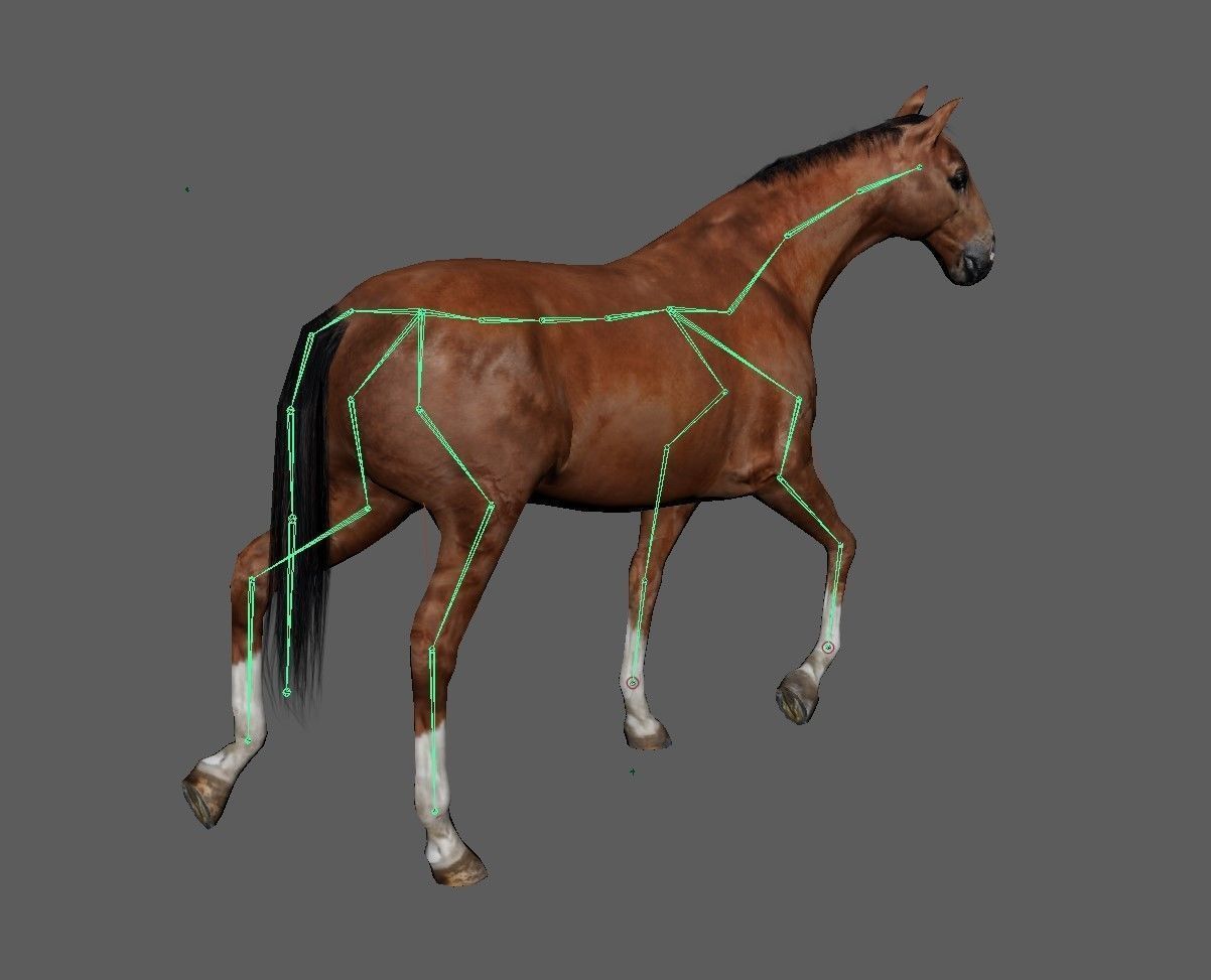 Horse Low-poly 3D model_16