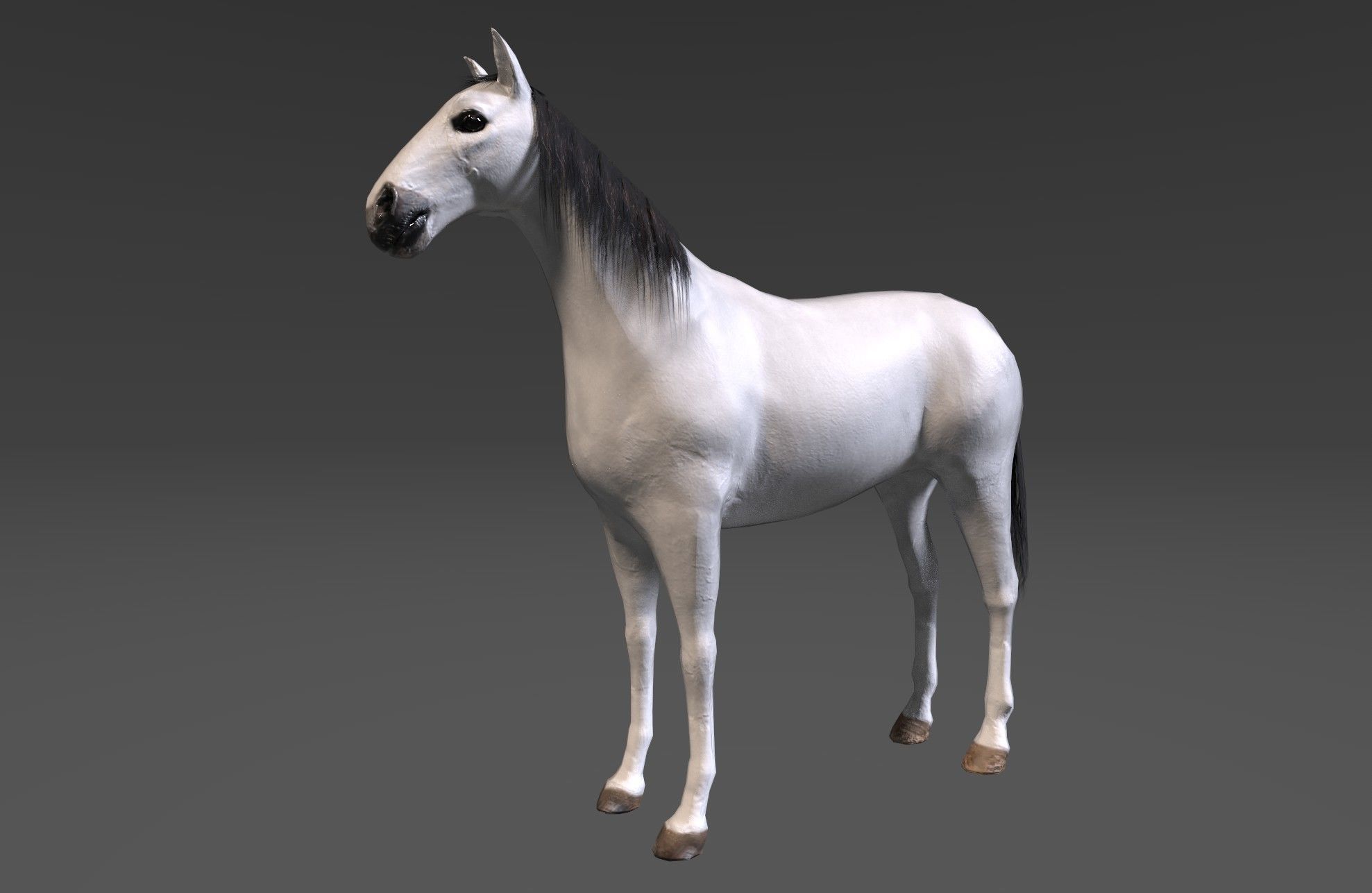 Horse Low-poly 3D model_14