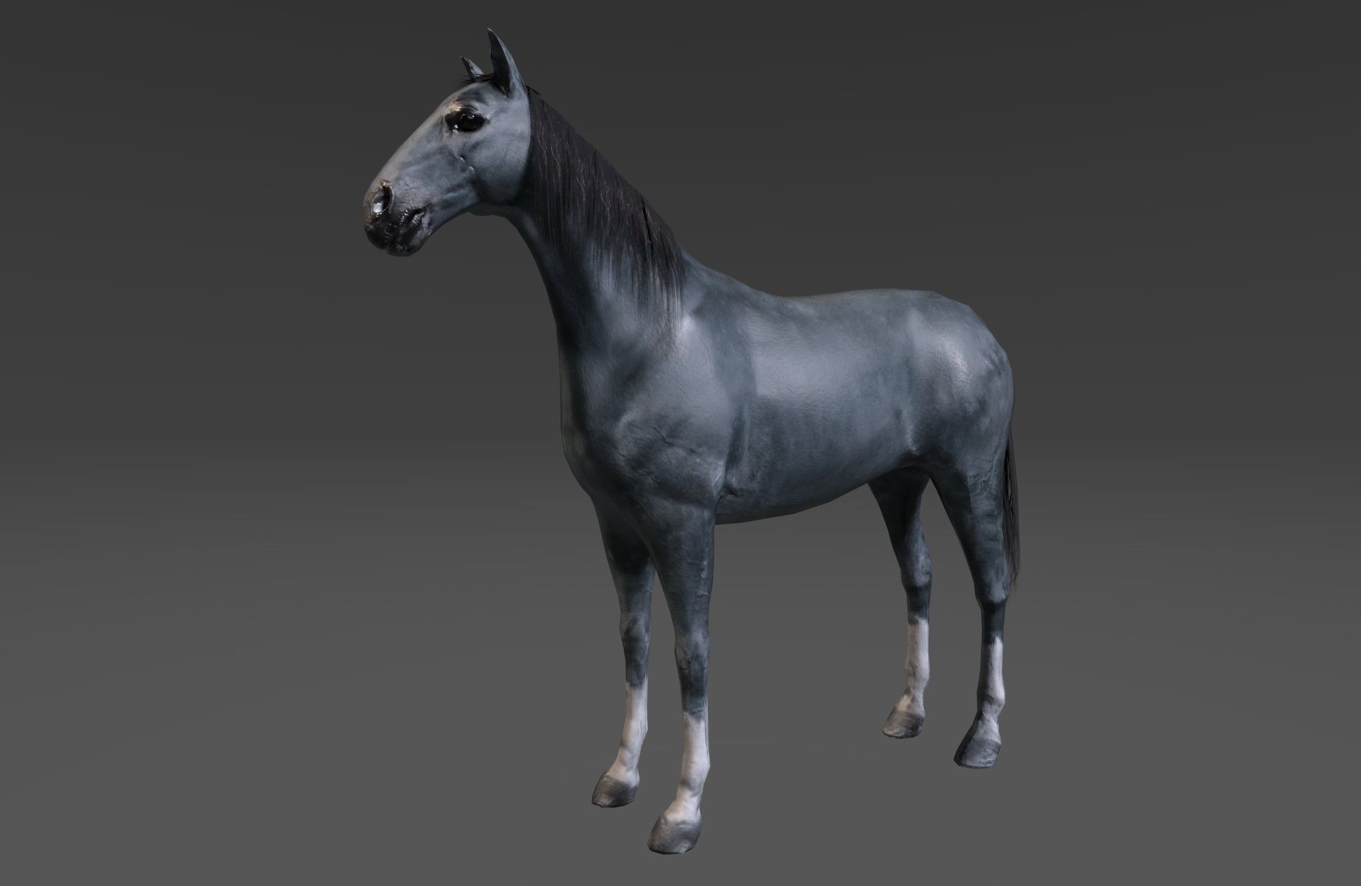 Horse Low-poly 3D model_11