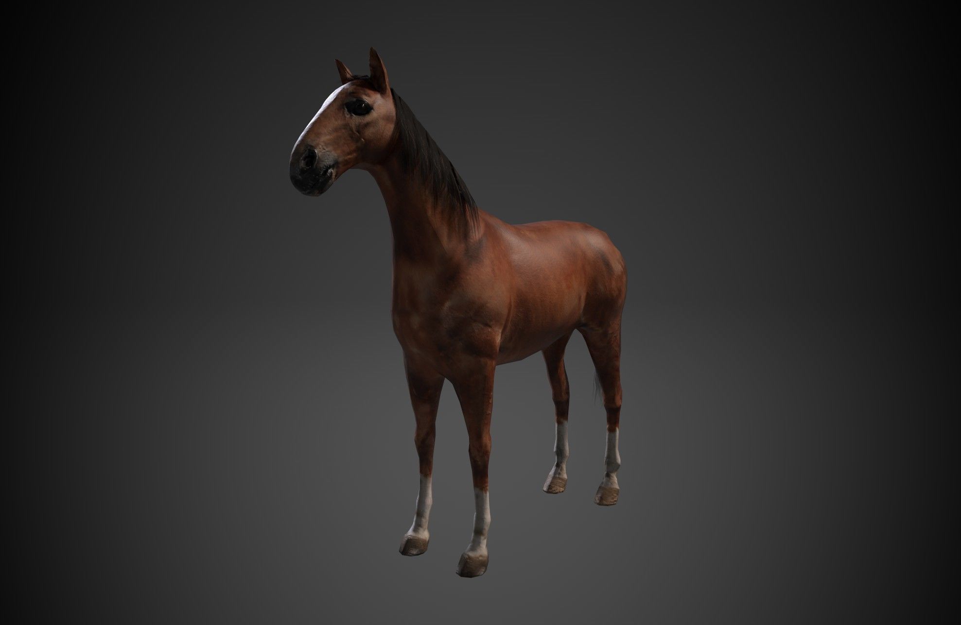 Horse Low-poly 3D model_1