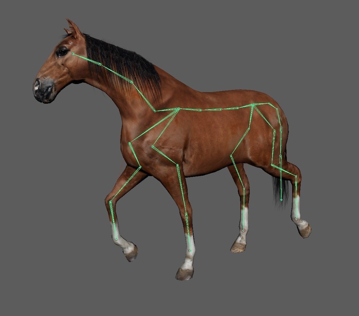 Horse Low-poly 3D model_17