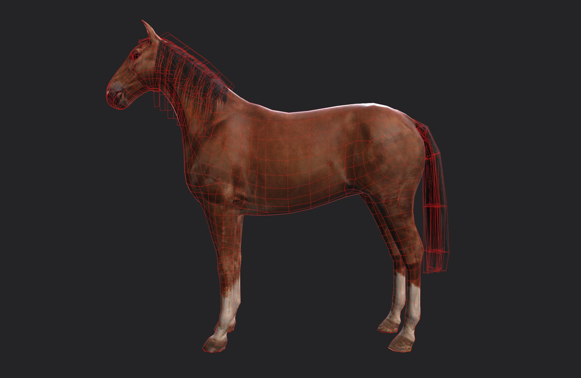 Horse Low-poly 3D model_6