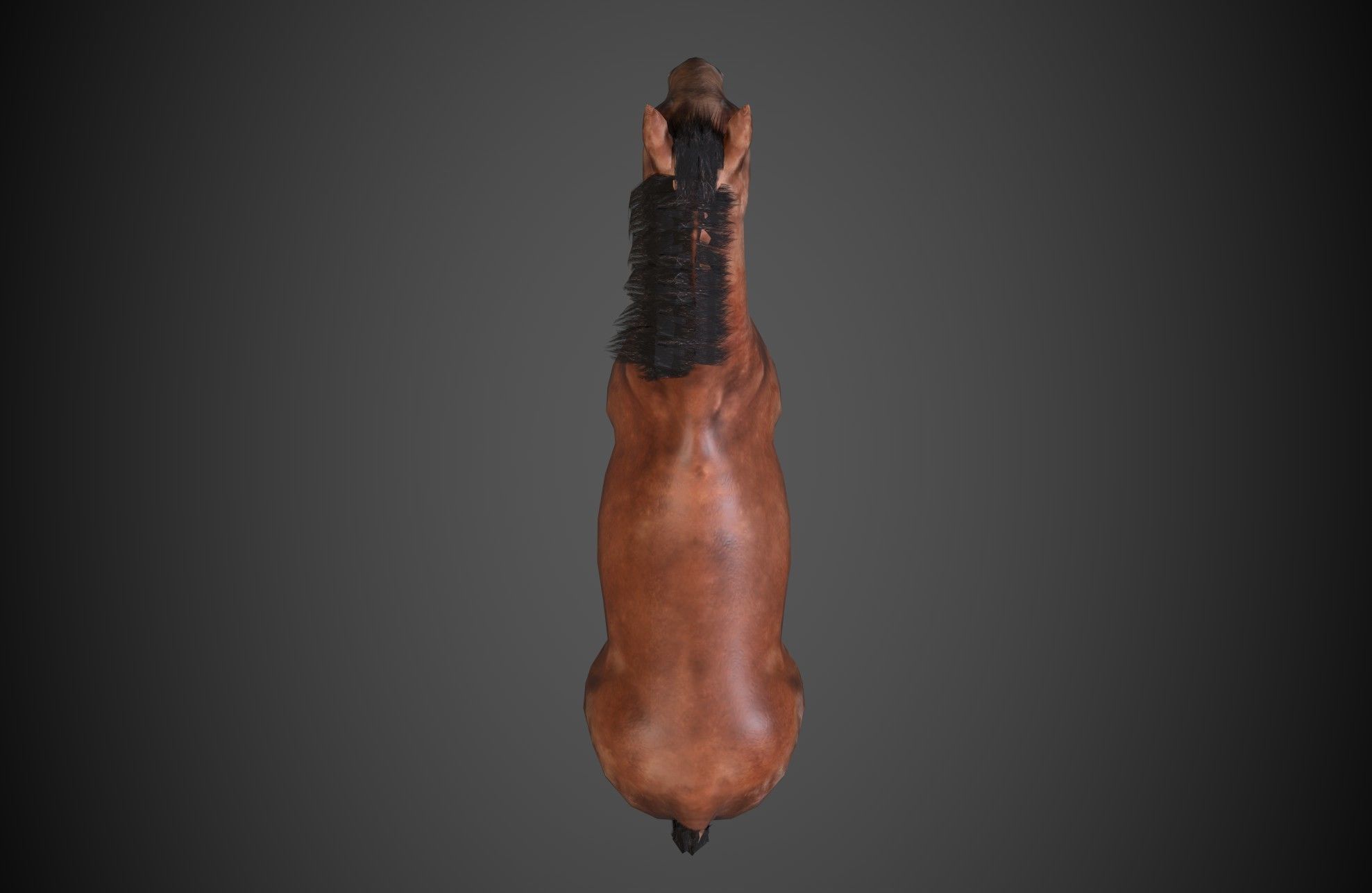 Horse Low-poly 3D model_4