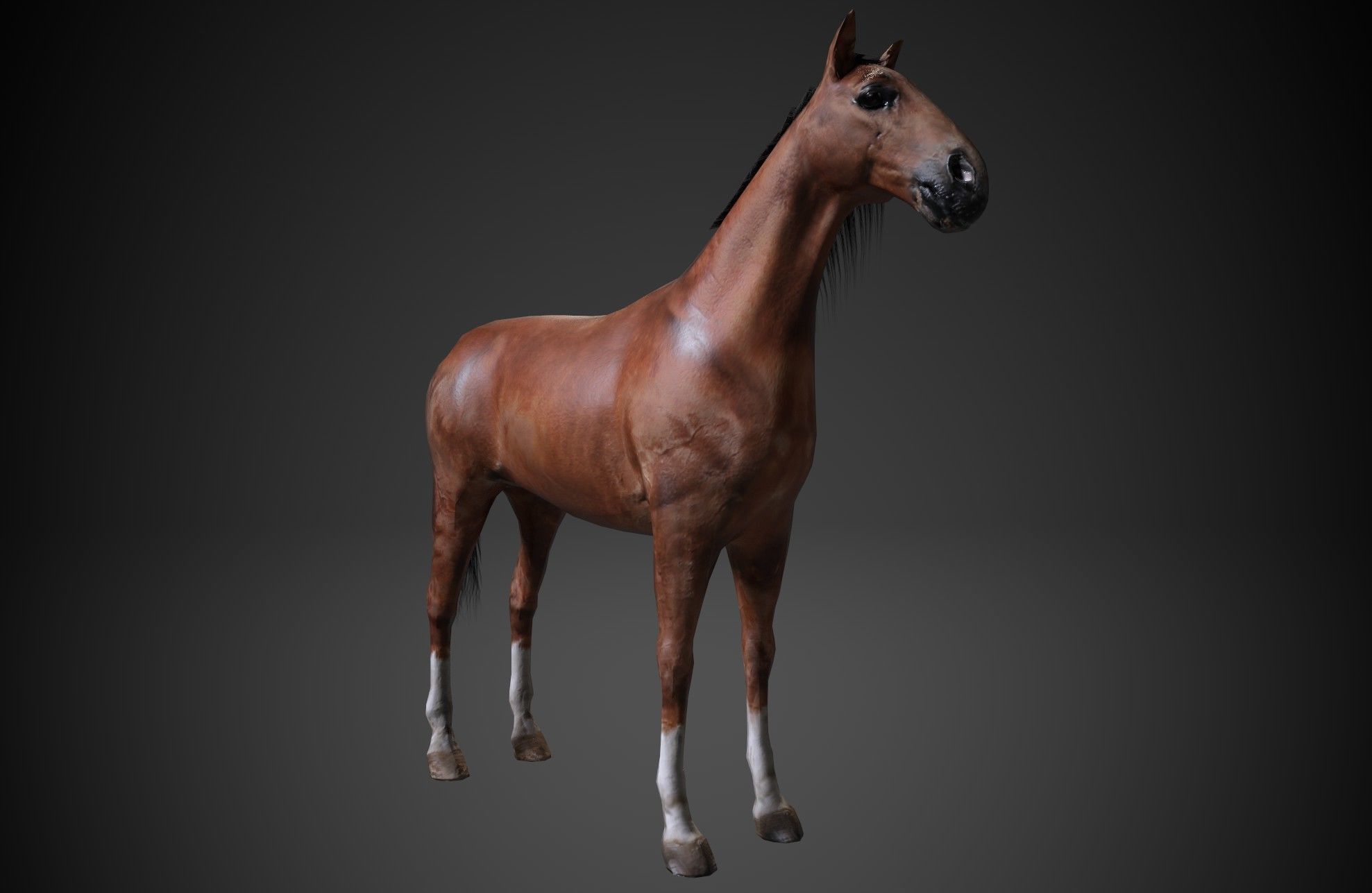 Horse Low-poly 3D model_2
