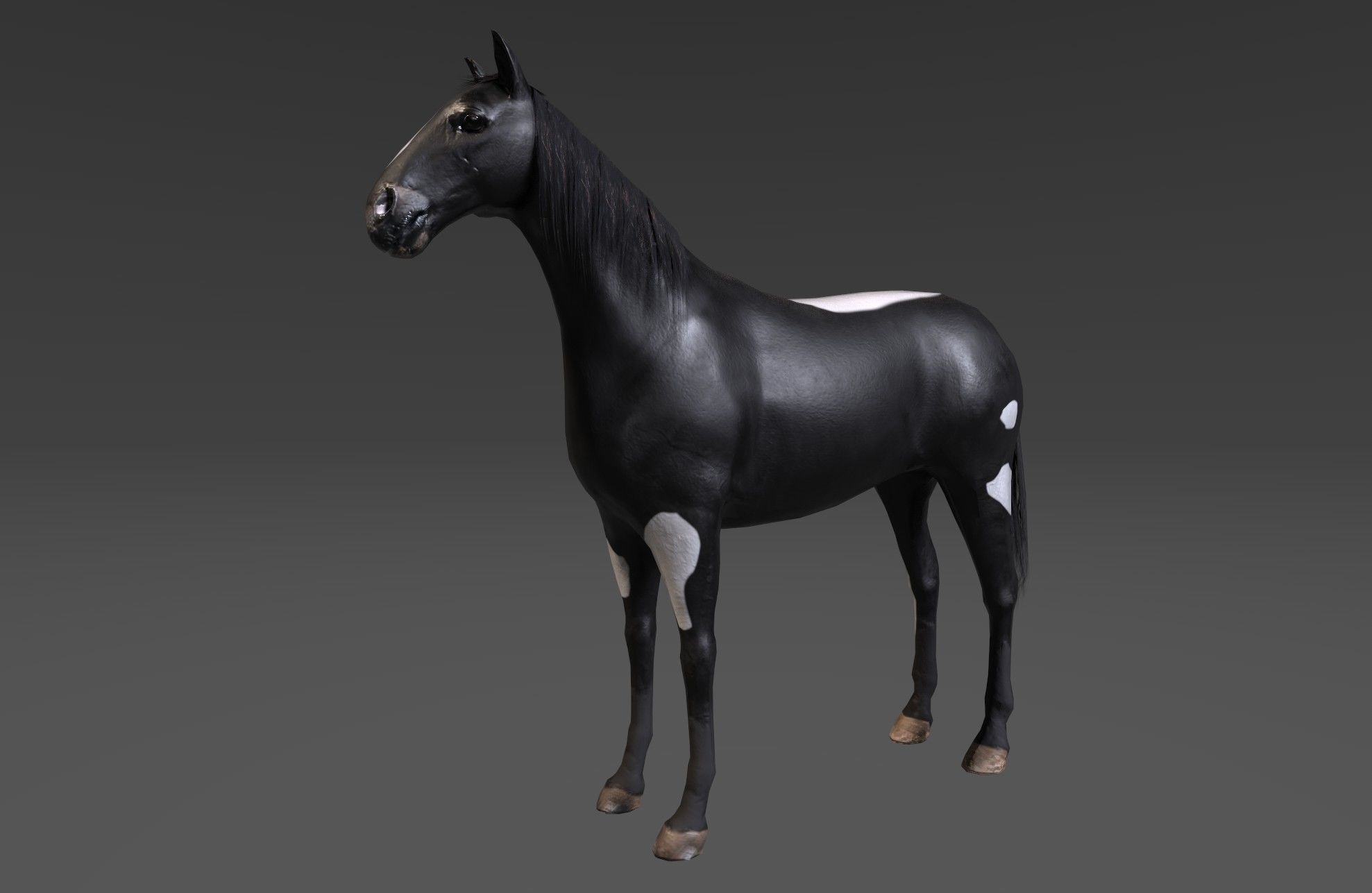 Horse Low-poly 3D model_10