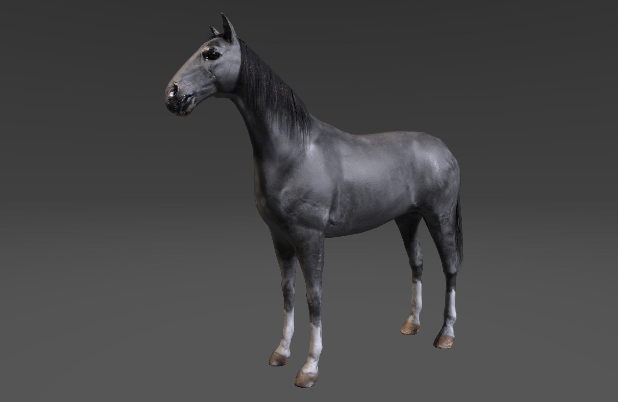 Horse Low-poly 3D model_13