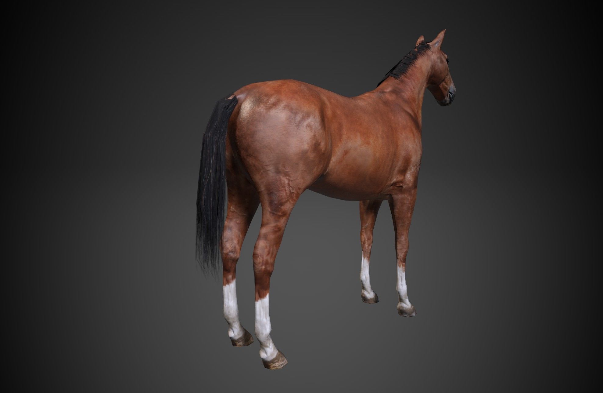 Horse Low-poly 3D model_3