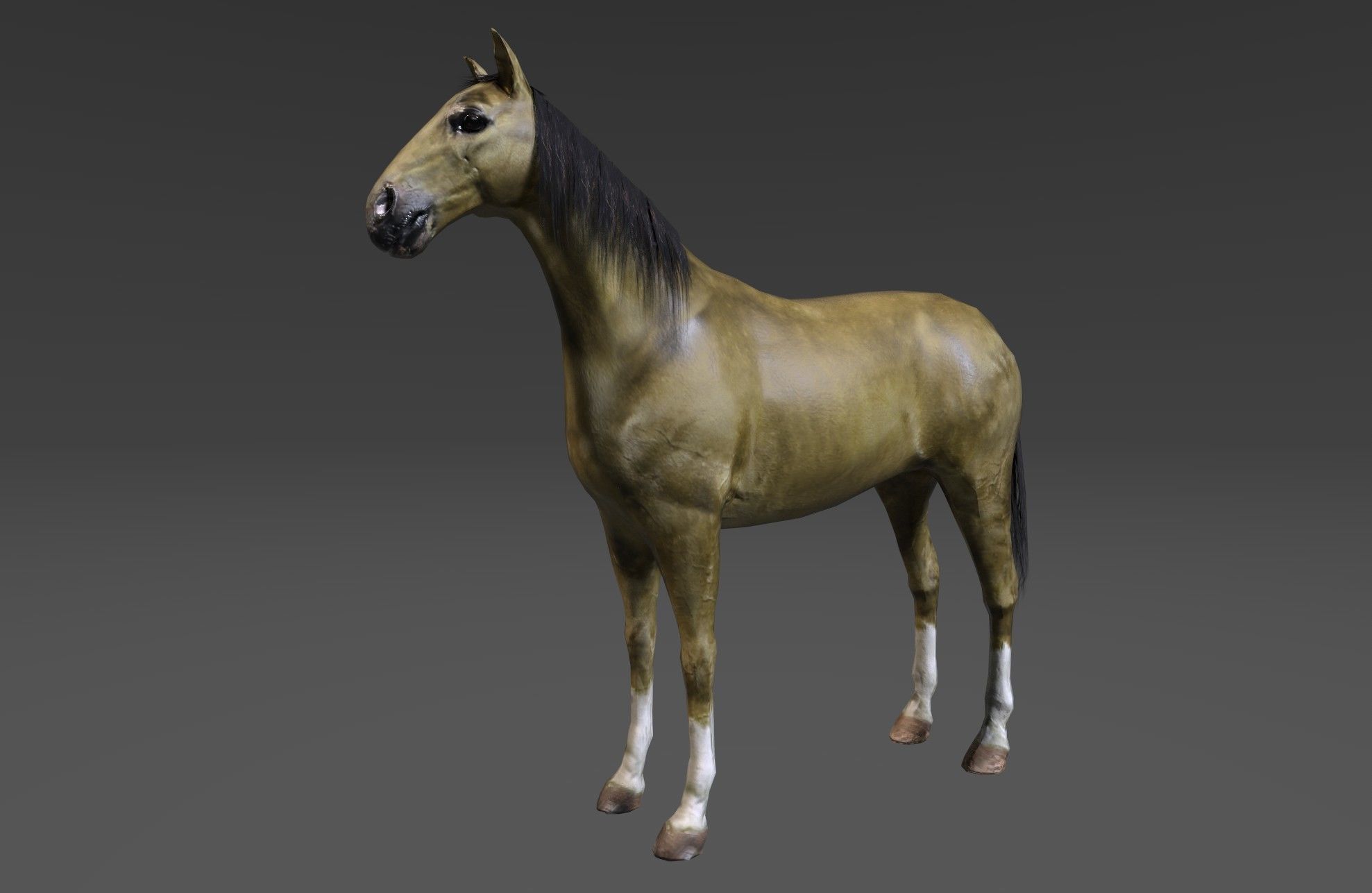 Horse Low-poly 3D model_12