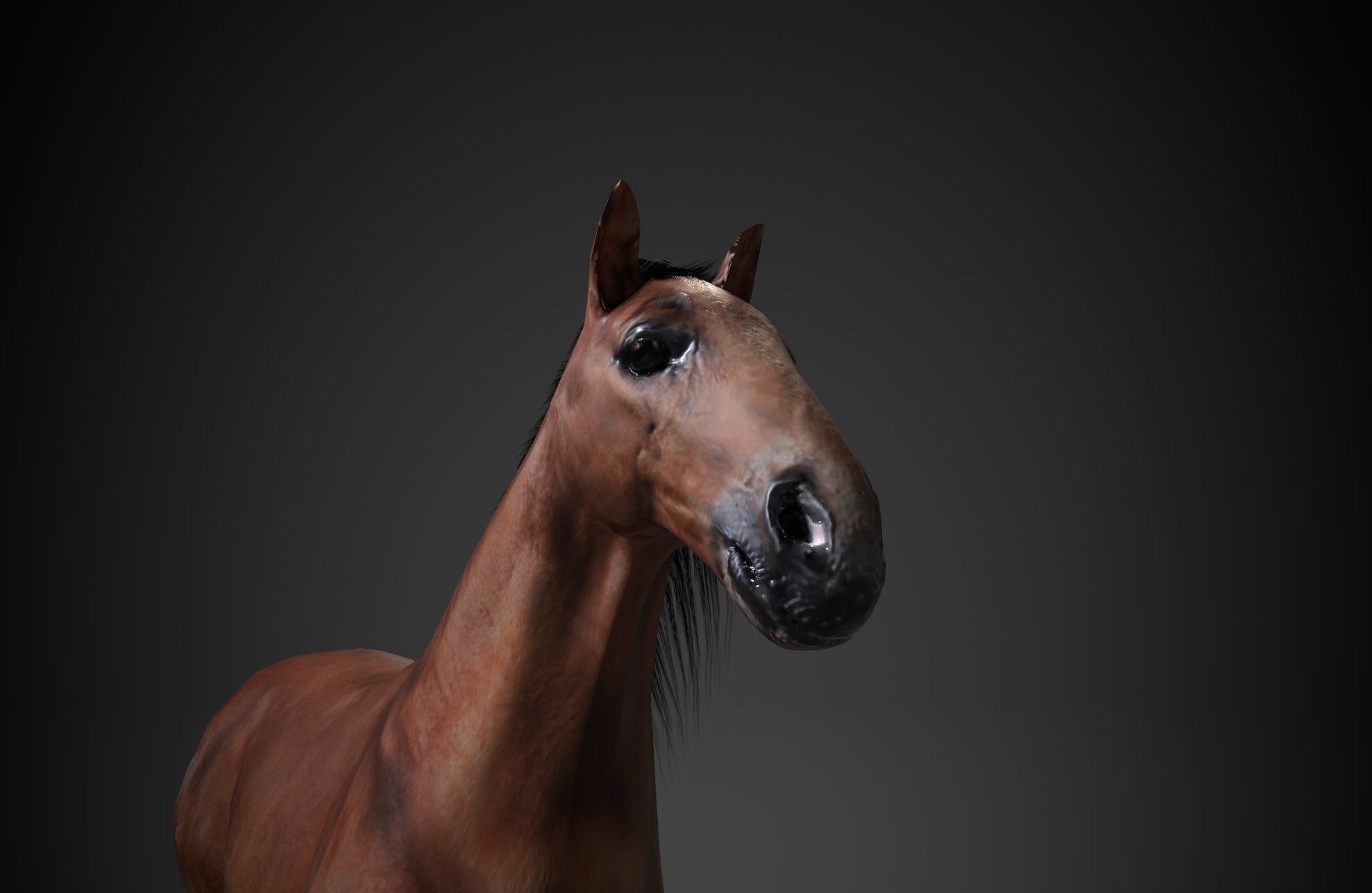 Horse Low-poly 3D model_5