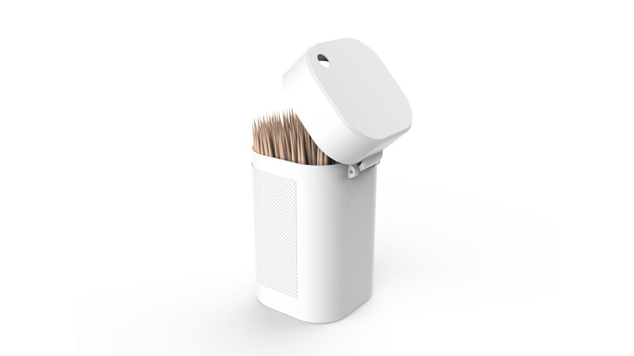 Toothpicks Container 3D model_1