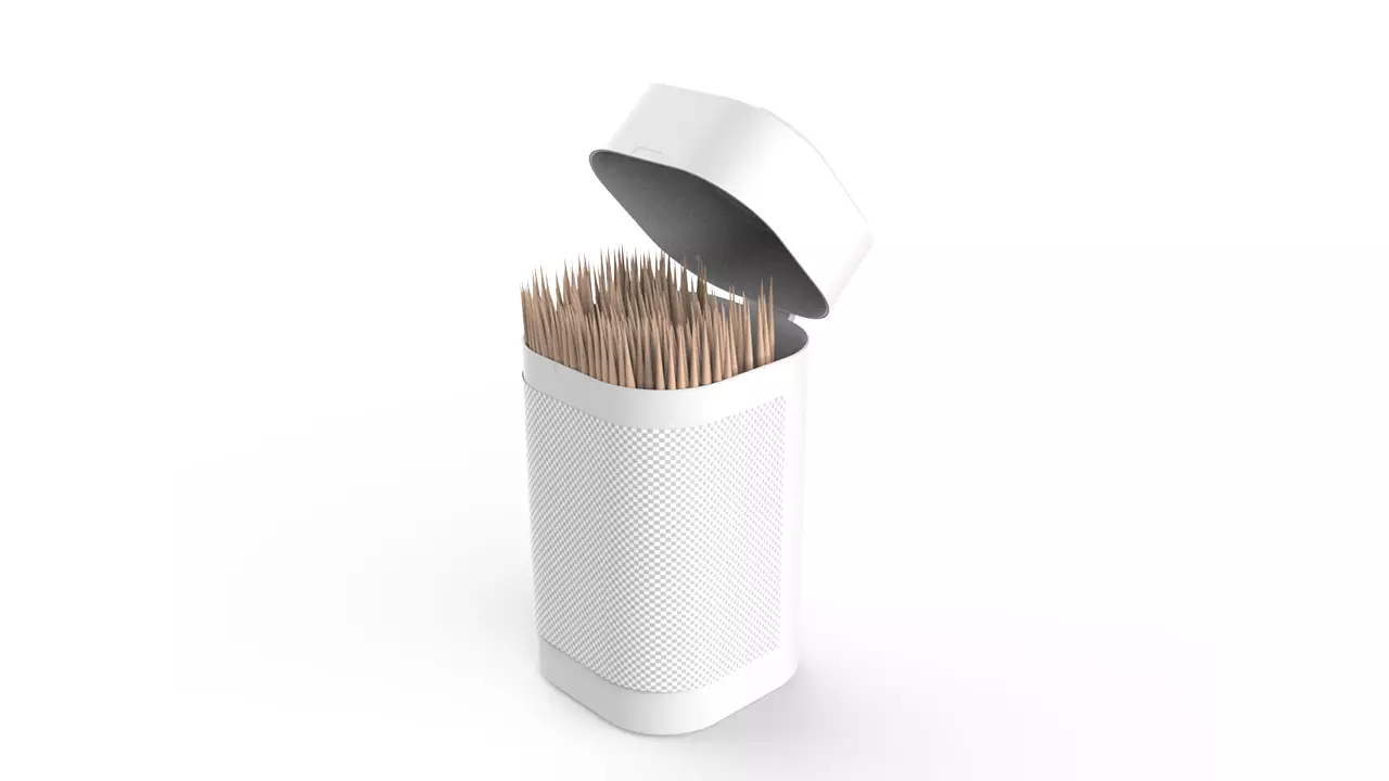 Toothpicks Container 3D model_0