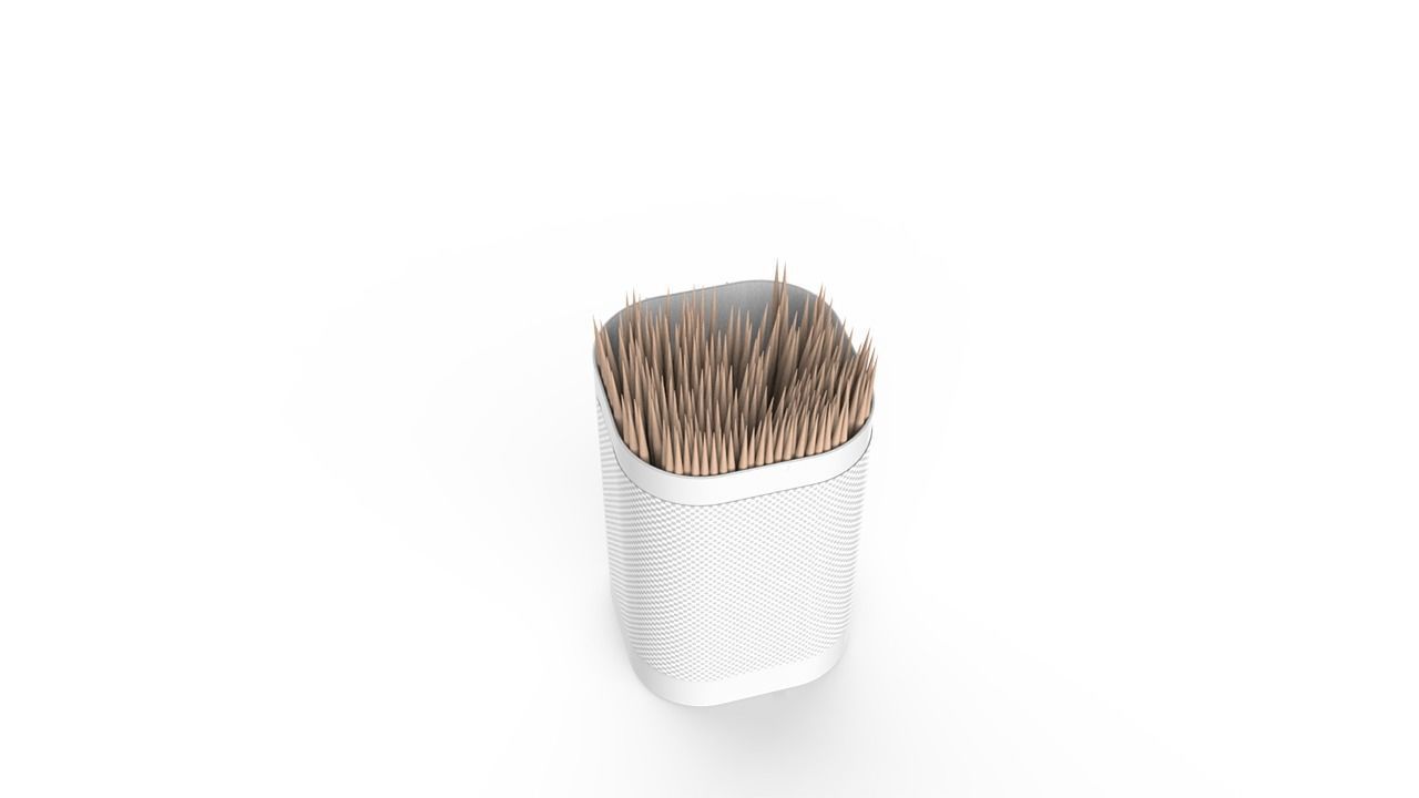 Toothpicks Container 3D print model_8
