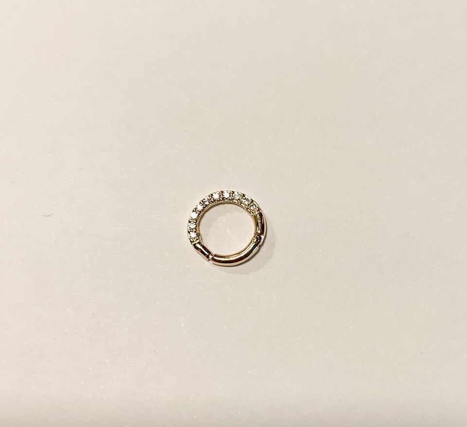 Nosering metal ring with balls 3D print model_1