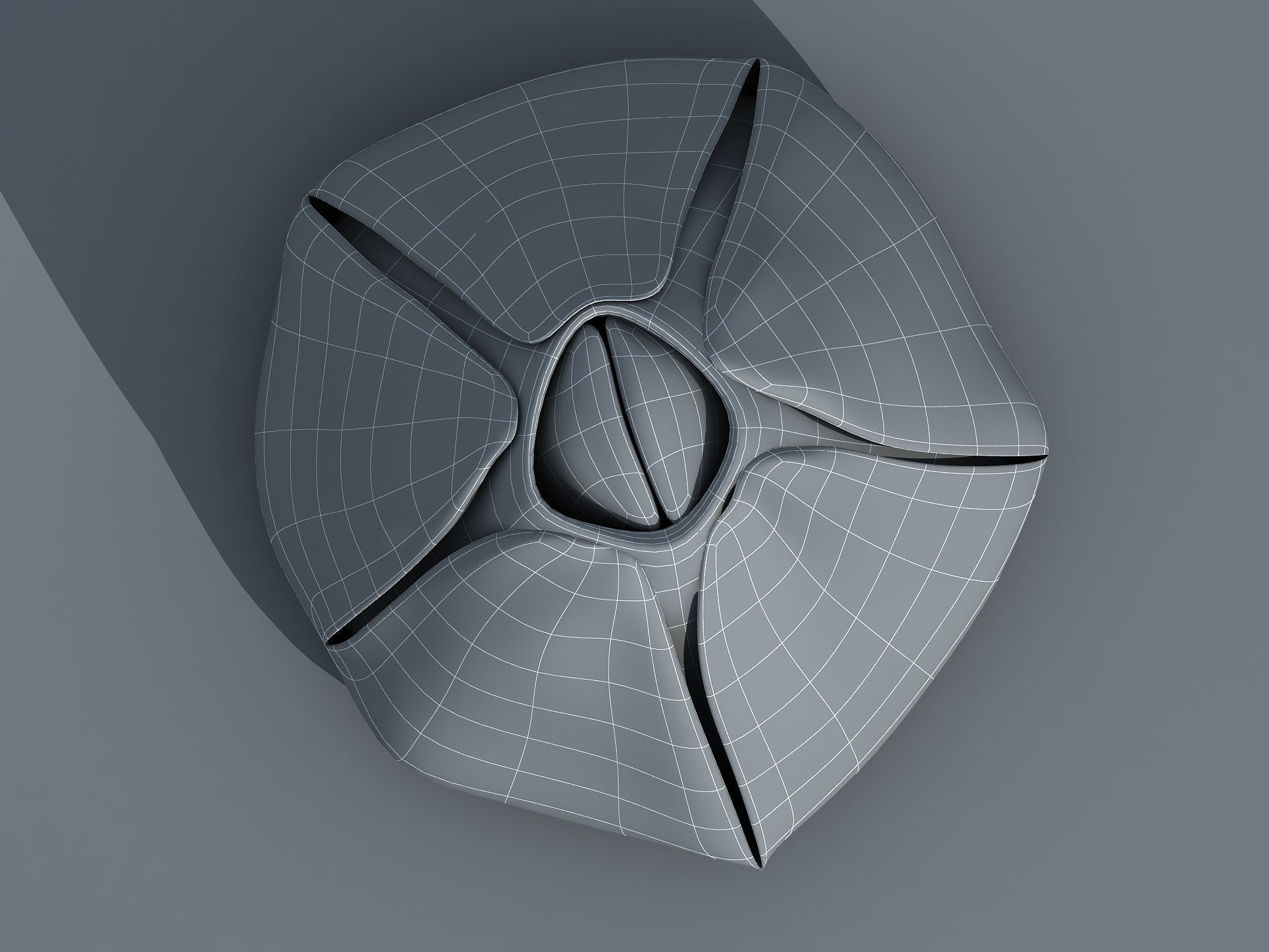 Adult Barnacle Balanus Low-poly 3D model_6