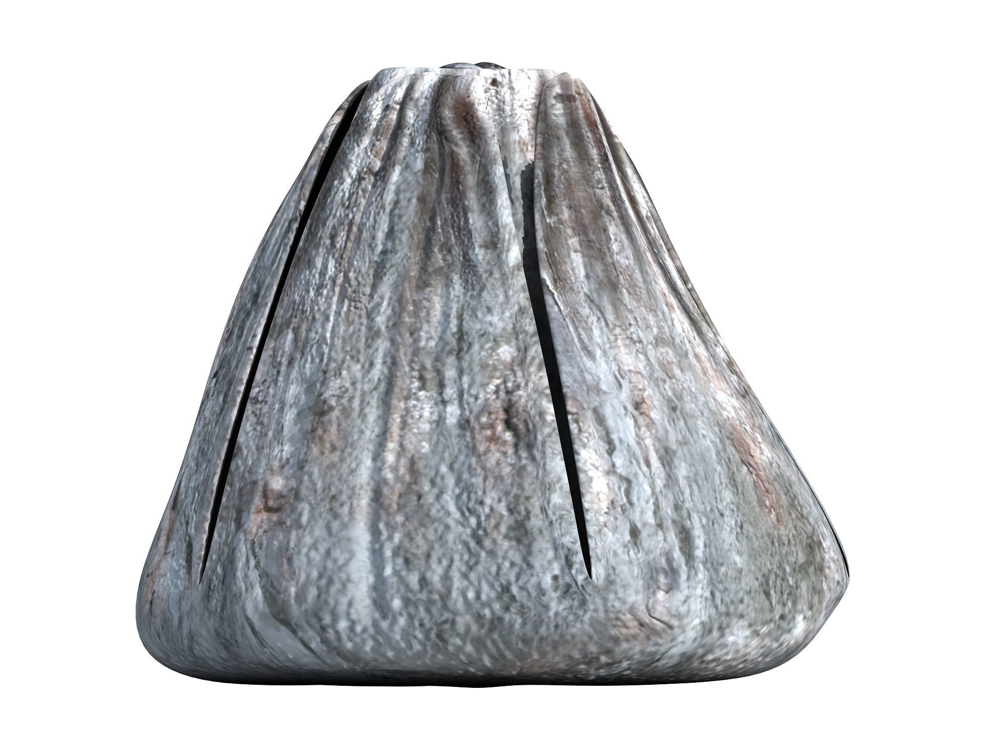 Adult Barnacle Balanus Low-poly 3D model_7