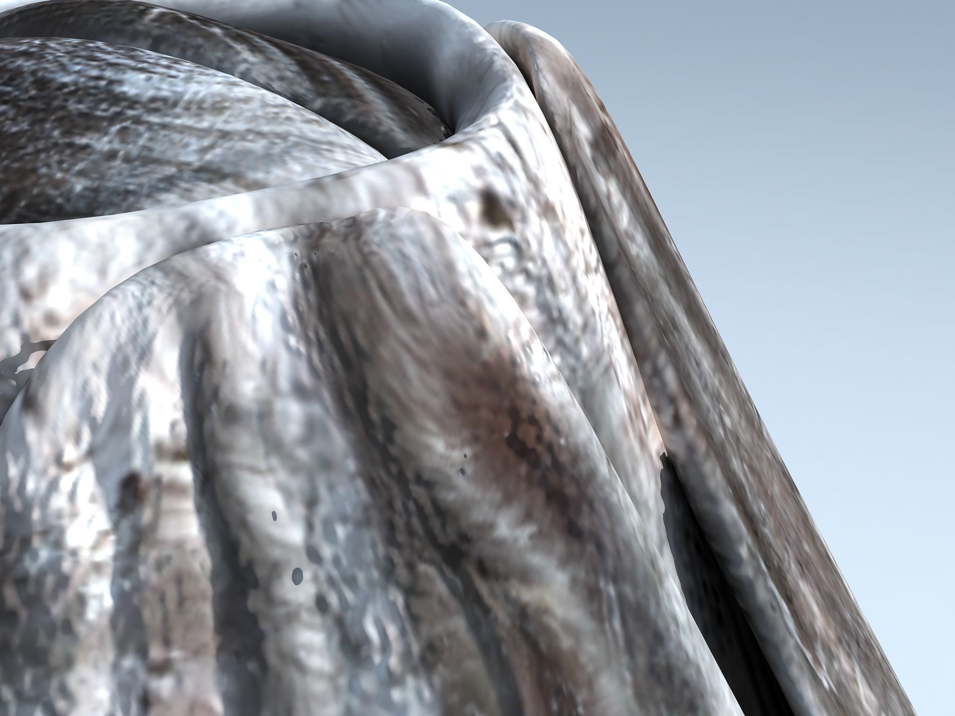 Adult Barnacle Balanus Low-poly 3D model_15