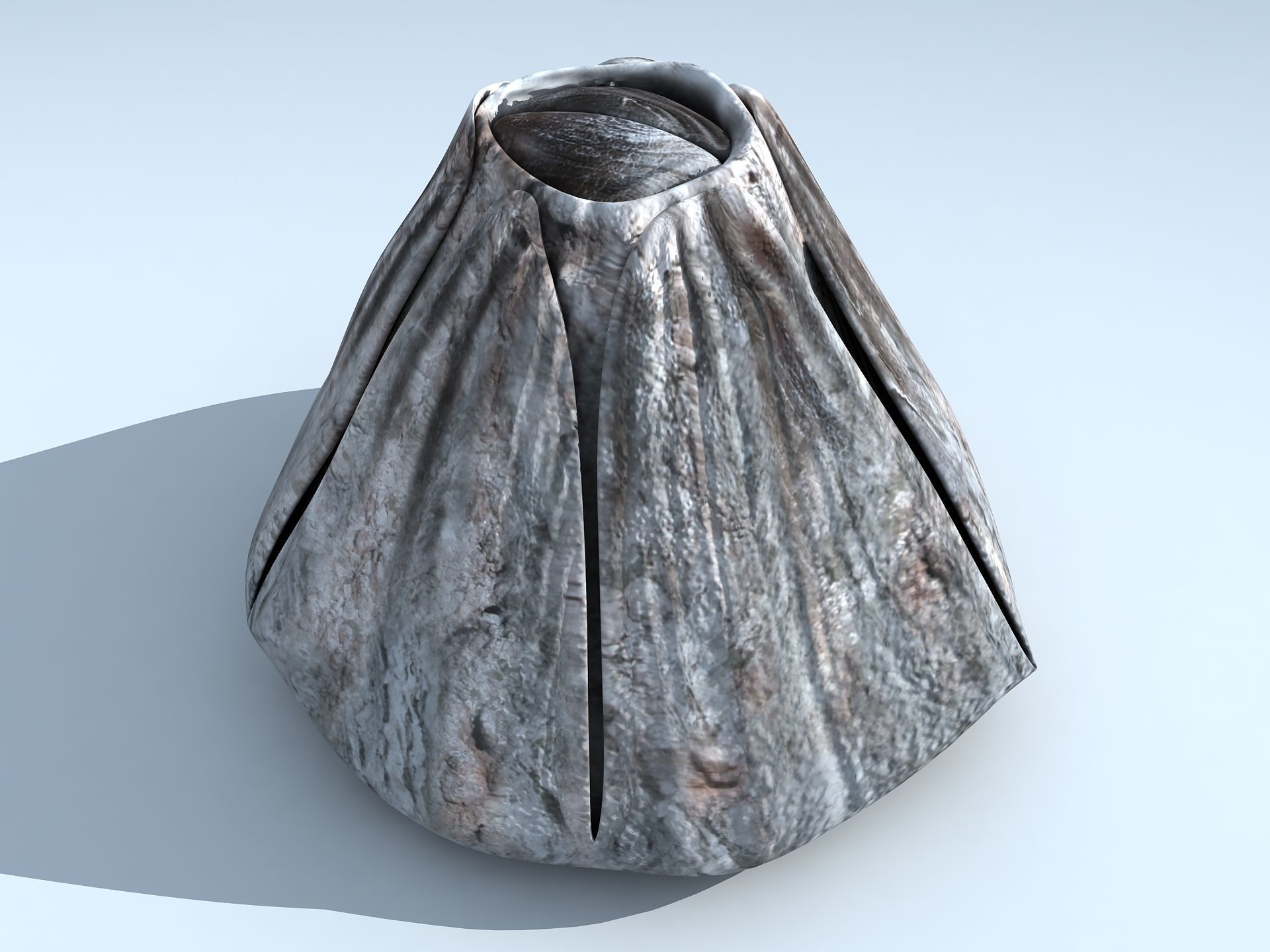 Adult Barnacle Balanus Low-poly 3D model_11