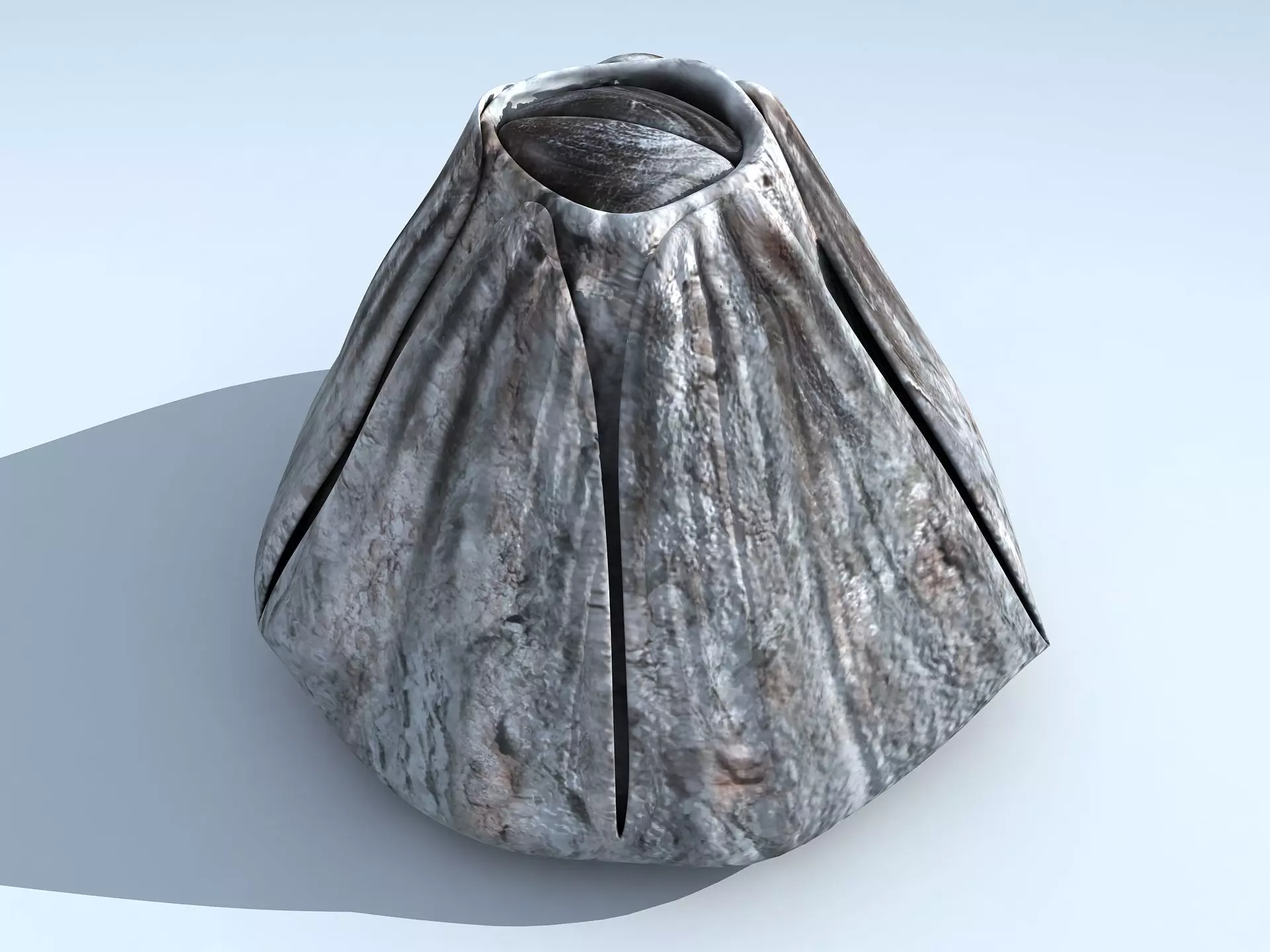 Adult Barnacle Balanus Low-poly 3D model_0