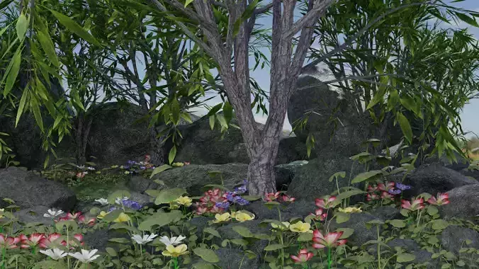 Scene garden with plants and rocks