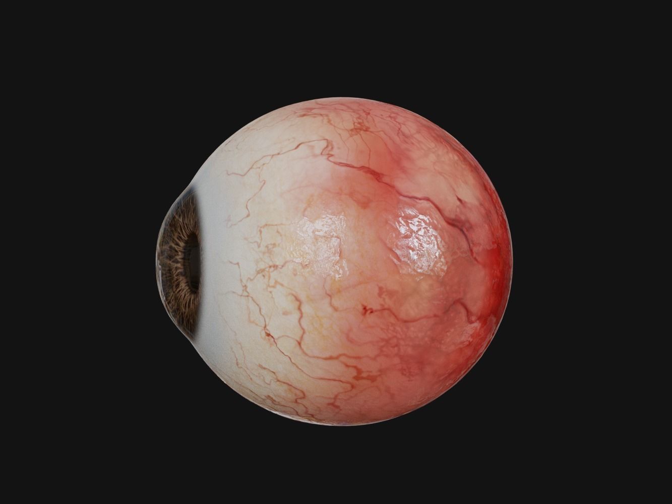 Human Eye with Eyelids 3D model_8