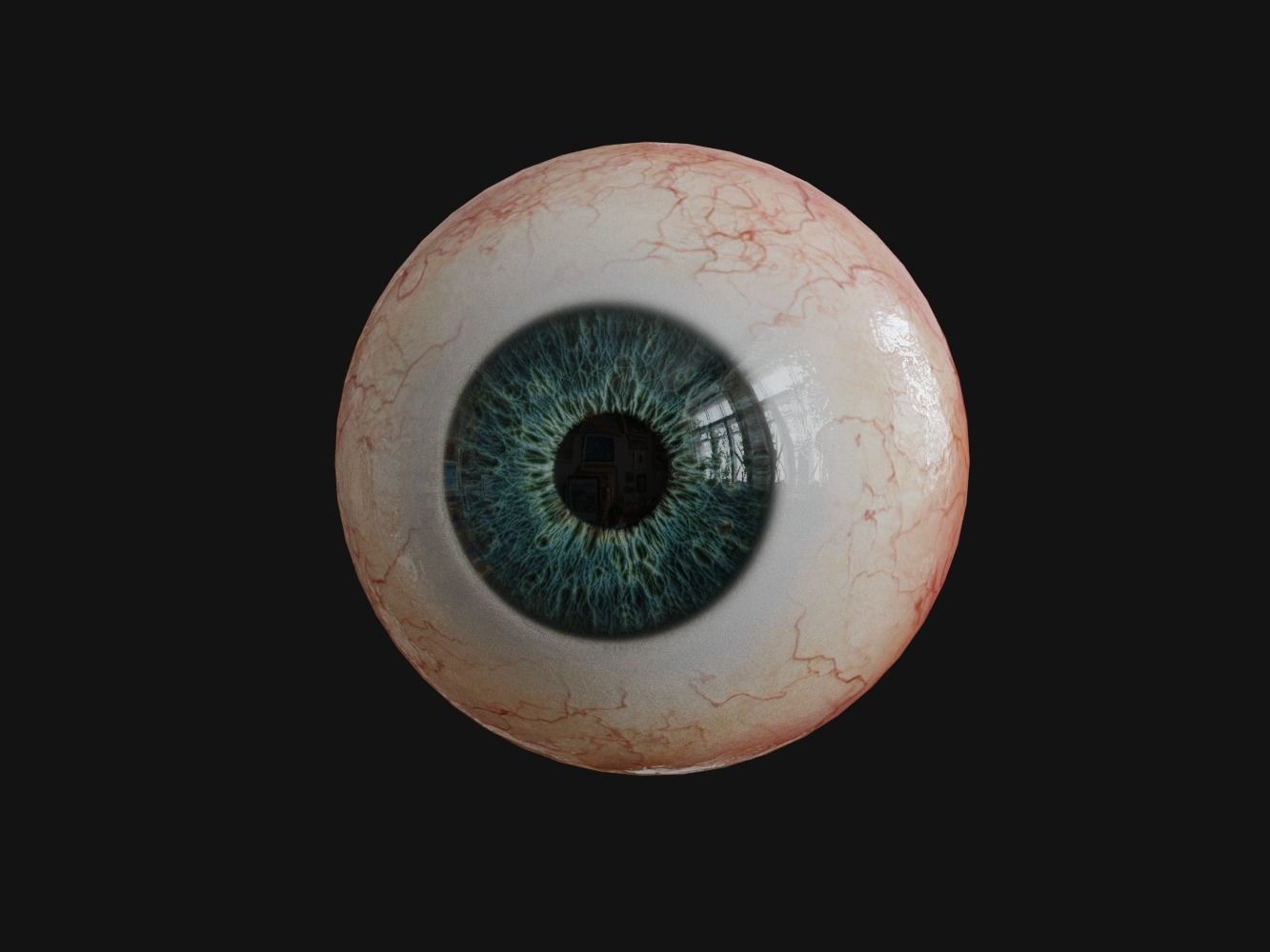 Human Eye with Eyelids 3D model_7