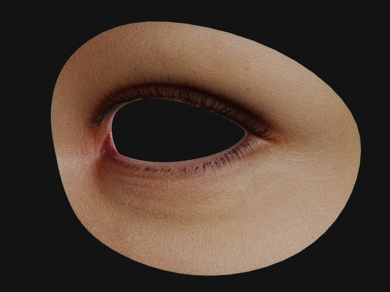 Human Eye with Eyelids 3D model_3