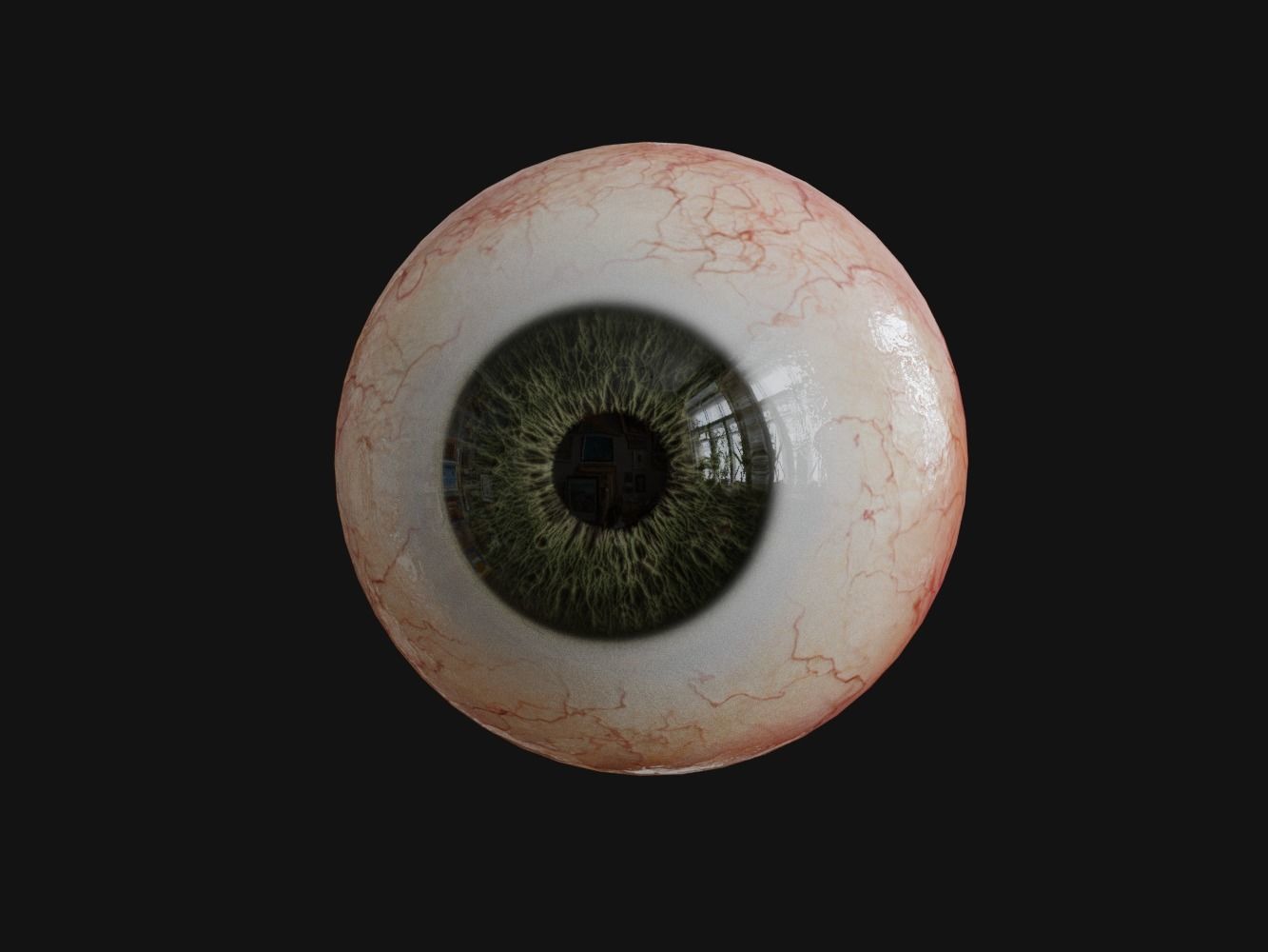 Human Eye with Eyelids 3D model_5