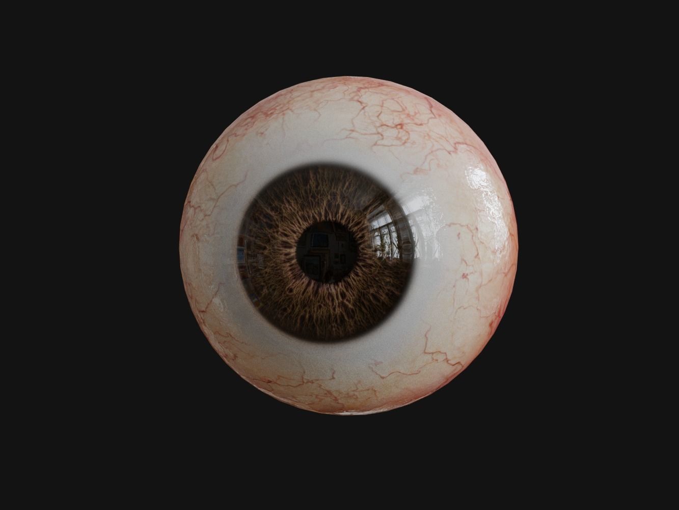 Human Eye with Eyelids 3D model_4