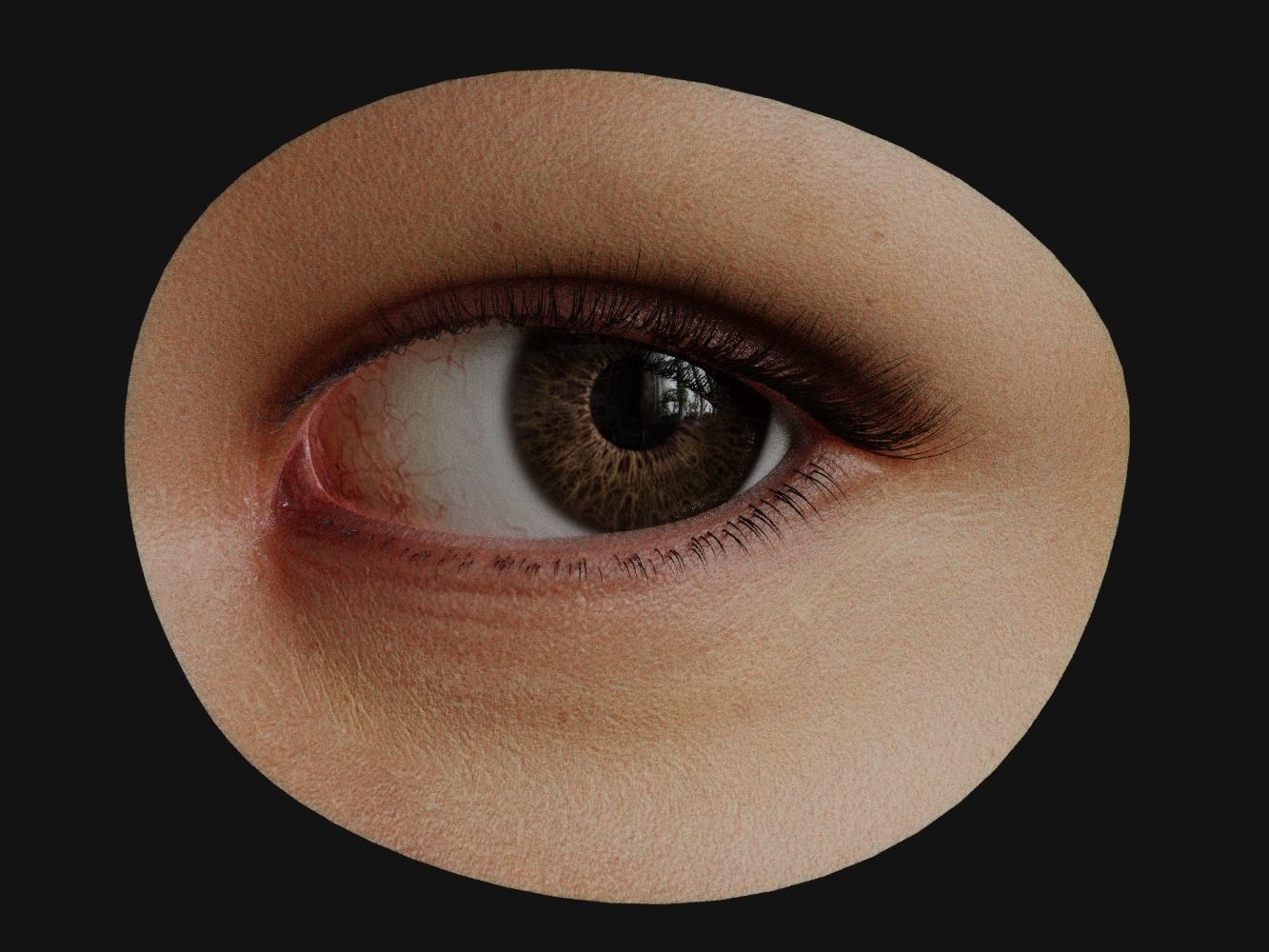 Human Eye with Eyelids 3D model_1
