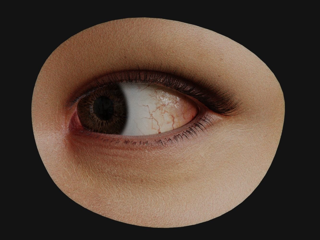Human Eye with Eyelids 3D model_2