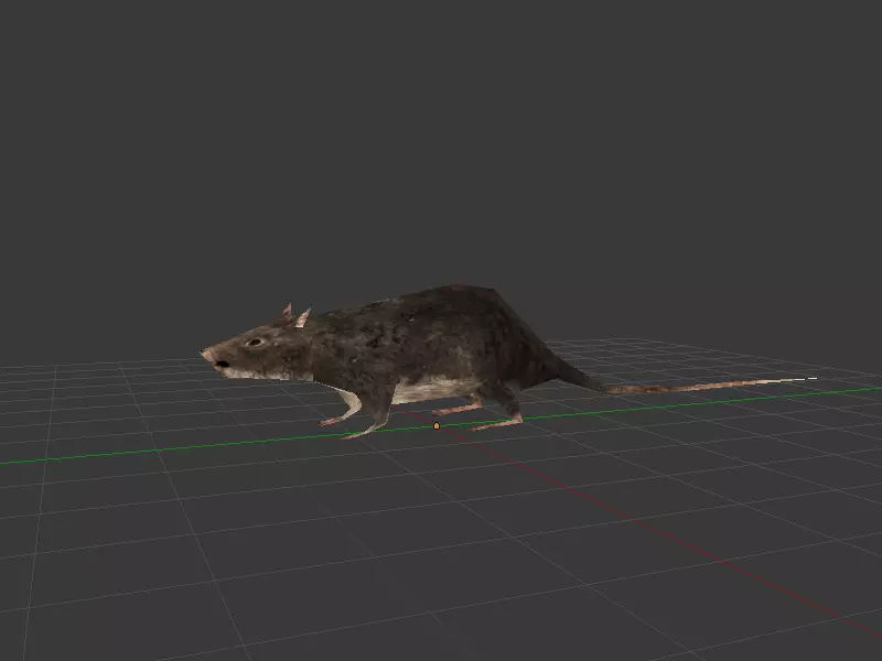 Simple Rats bas poly Free low-poly 3D model