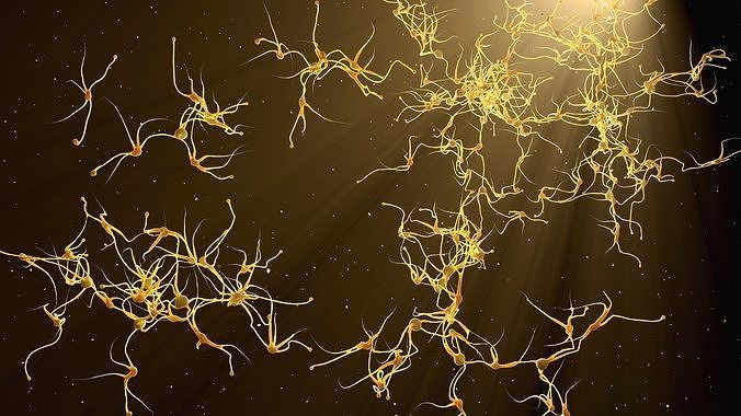 Six  models of neurons  3D model