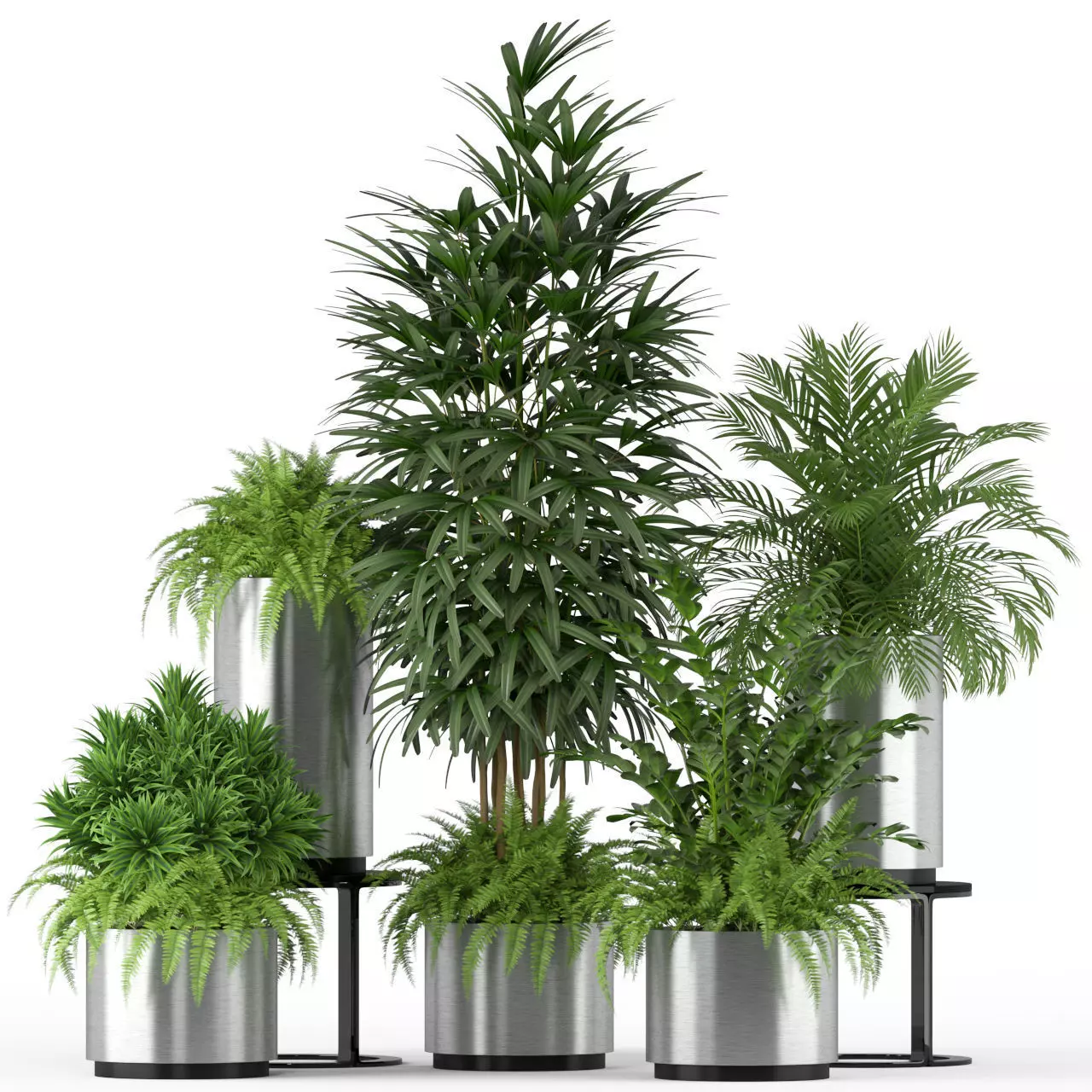 Plants collection 206 3D model